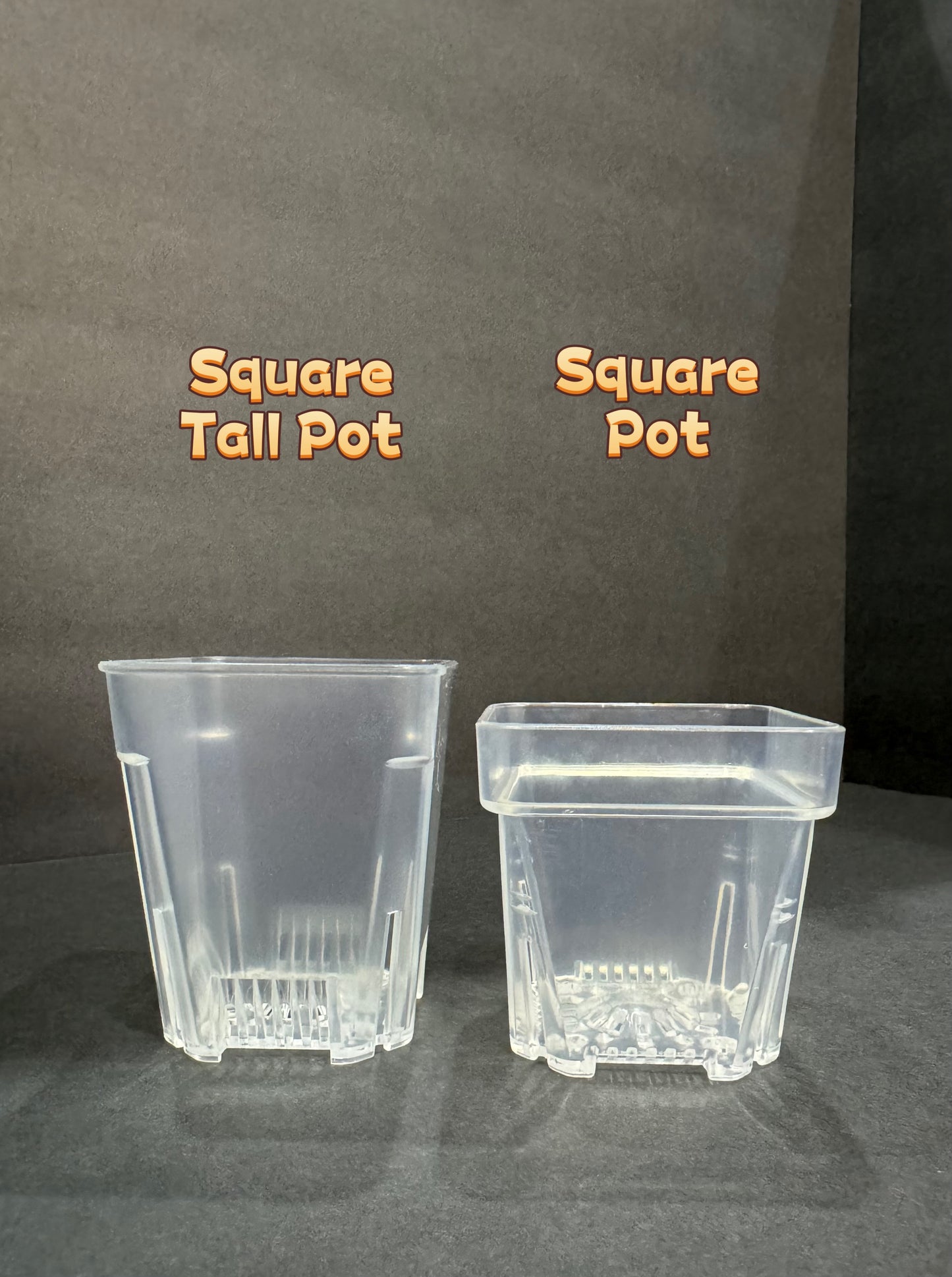 2.55 inch Square Clear Pot | Clear Square Small Pot | Clear Pot