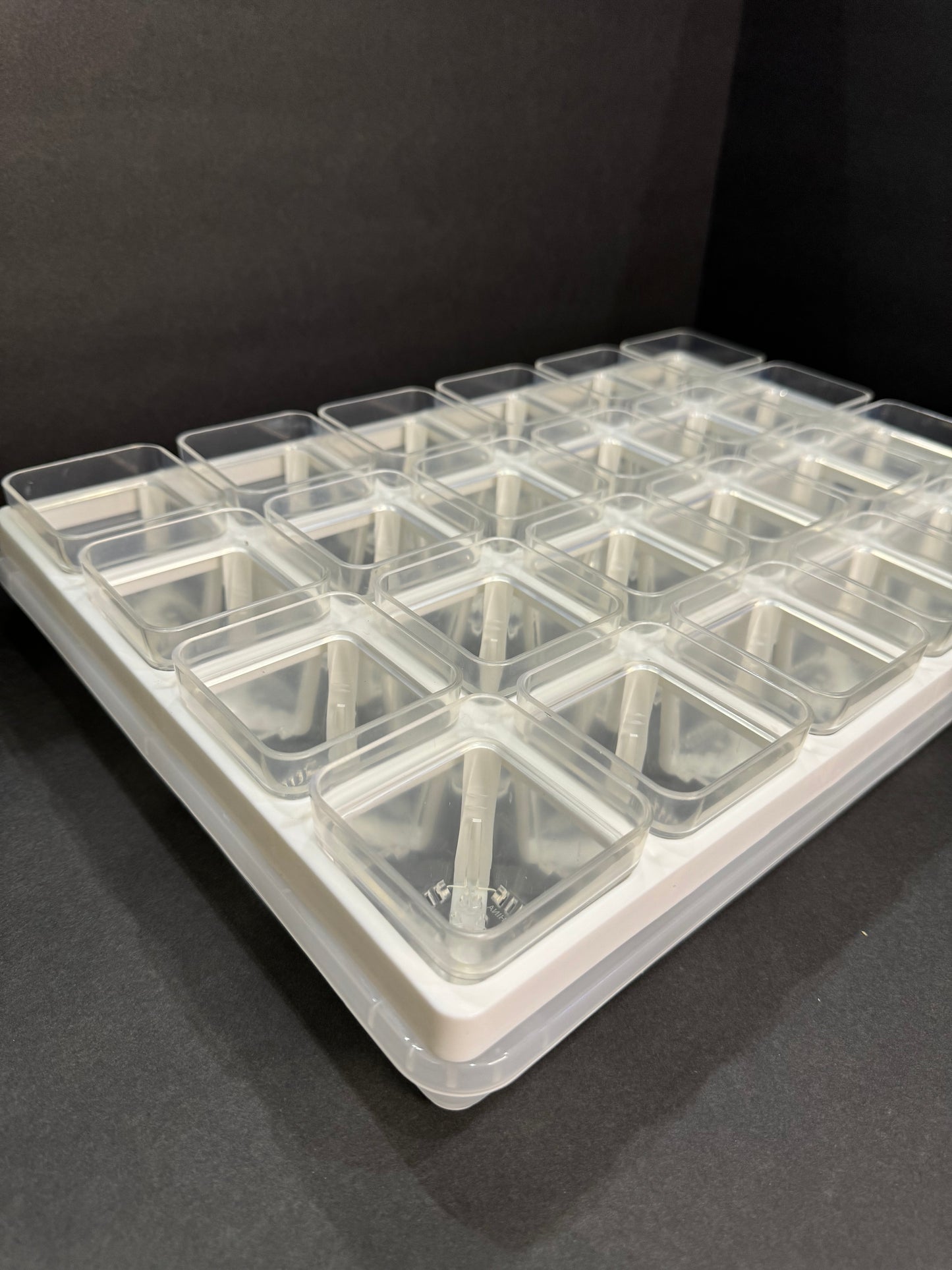 2.55 inch Square Clear Pot | Clear Square Small Pot | Clear Pot