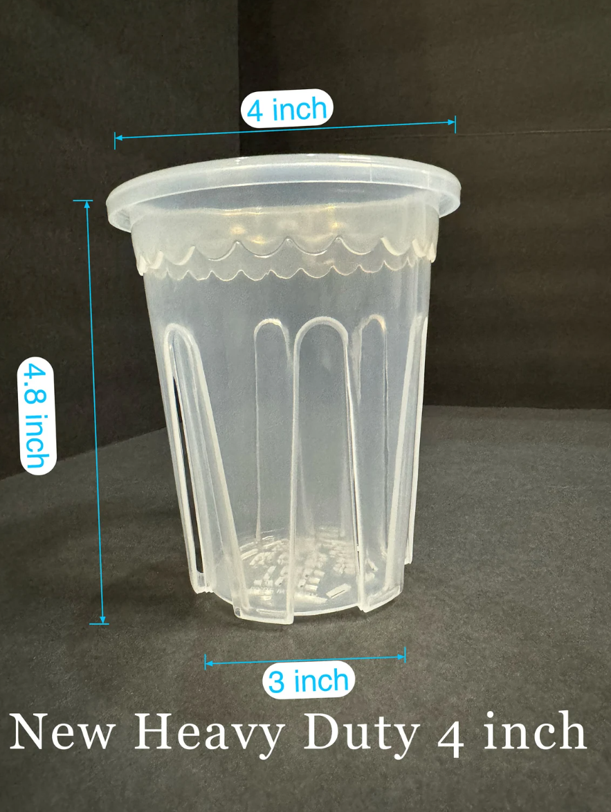 High-Quality Tall Clear Pot with Excellent Drainage β Multi Sizes Available (4" to 11")