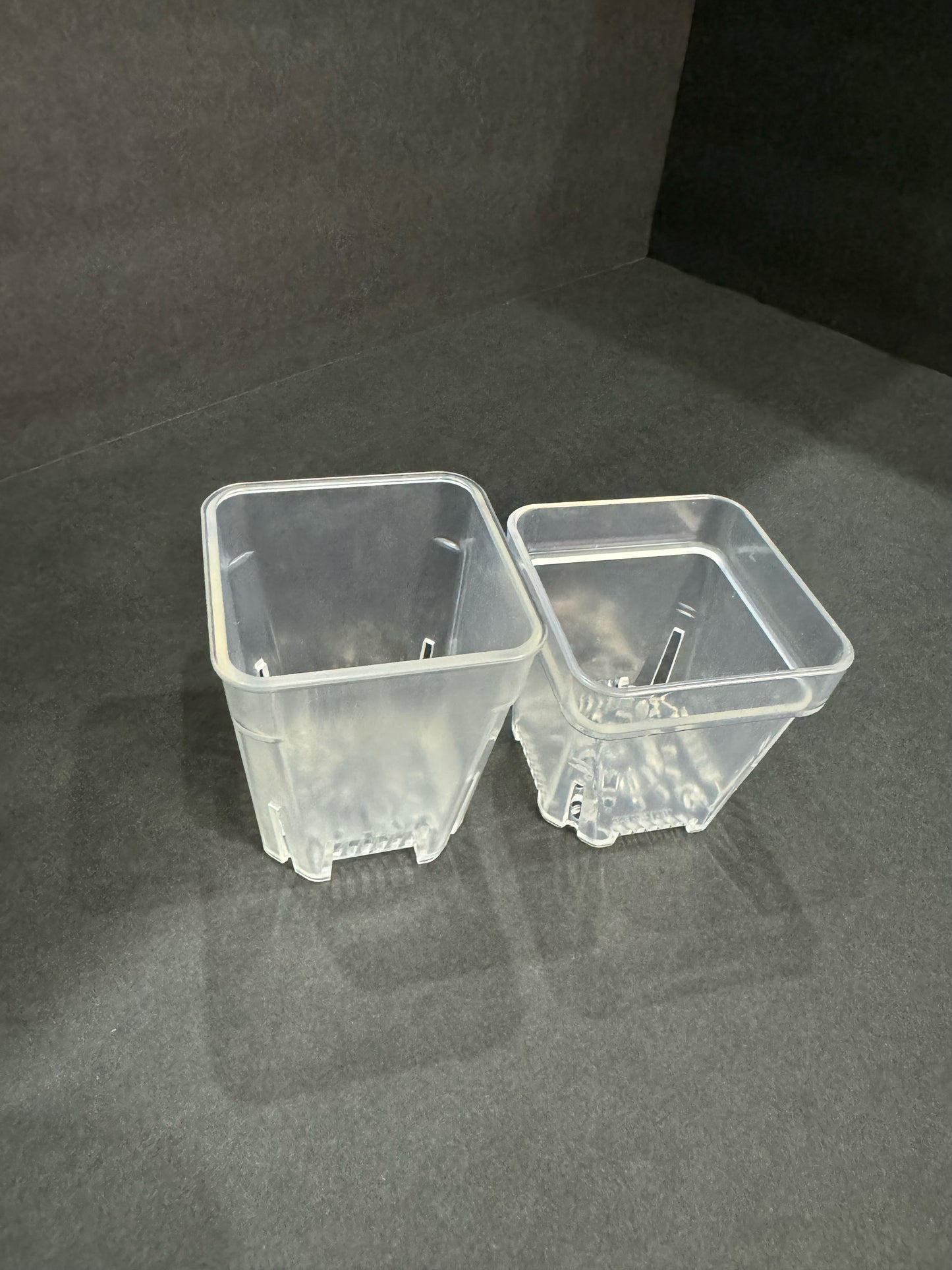 2.55 inch Square Clear Pot | Clear Square Small Pot | Clear Pot