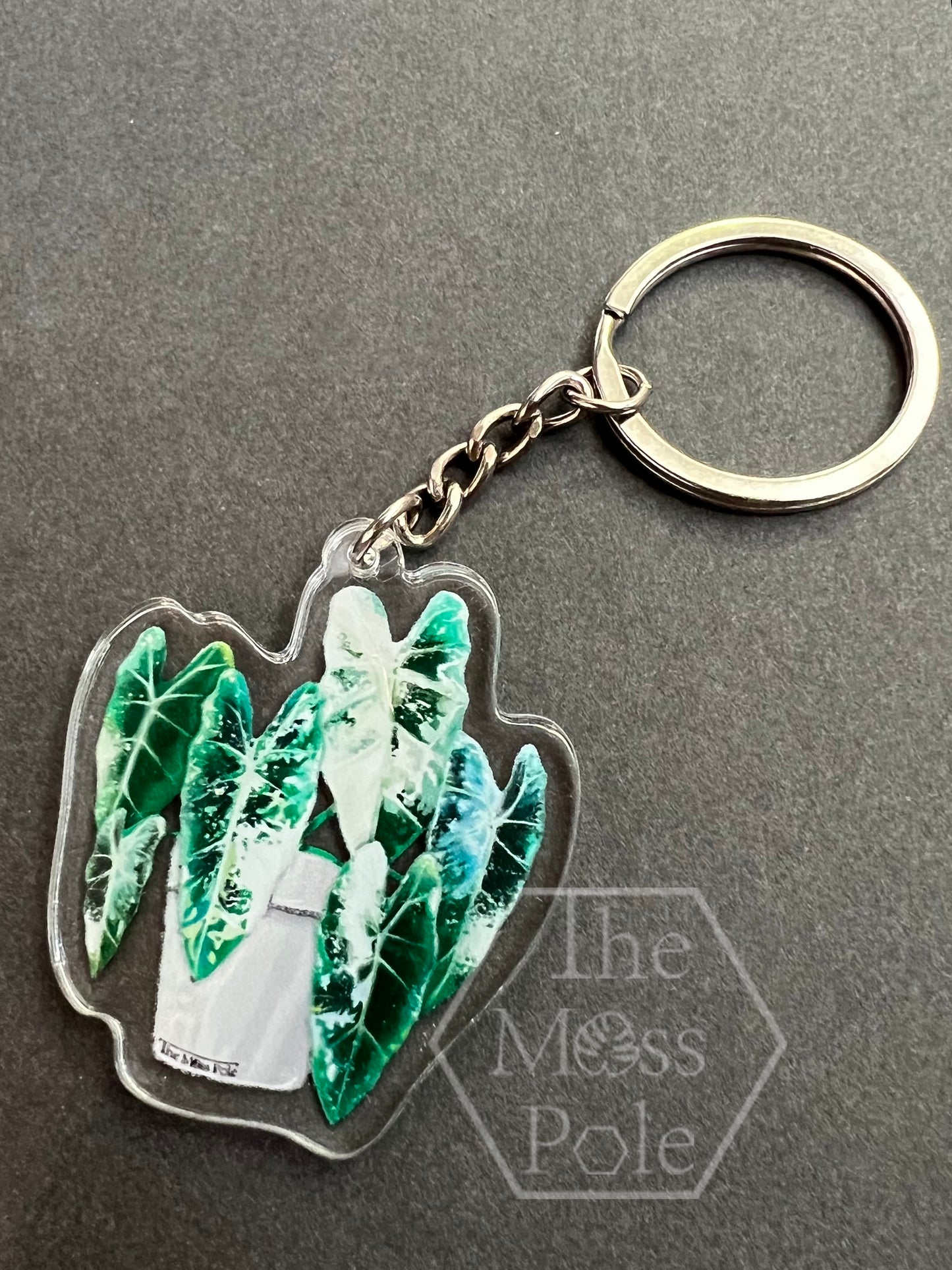 Monstera Keychain, Alocasia Keychain, Anthurium Keychain and Philodendron Keychain