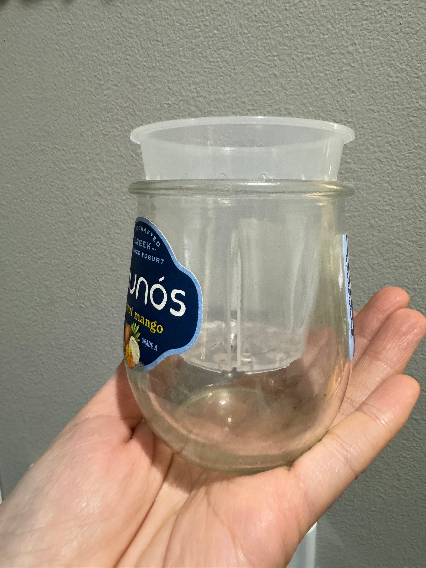 2.5 inch Round Clear Pot | Clear Round Small Pot | Clear Pot