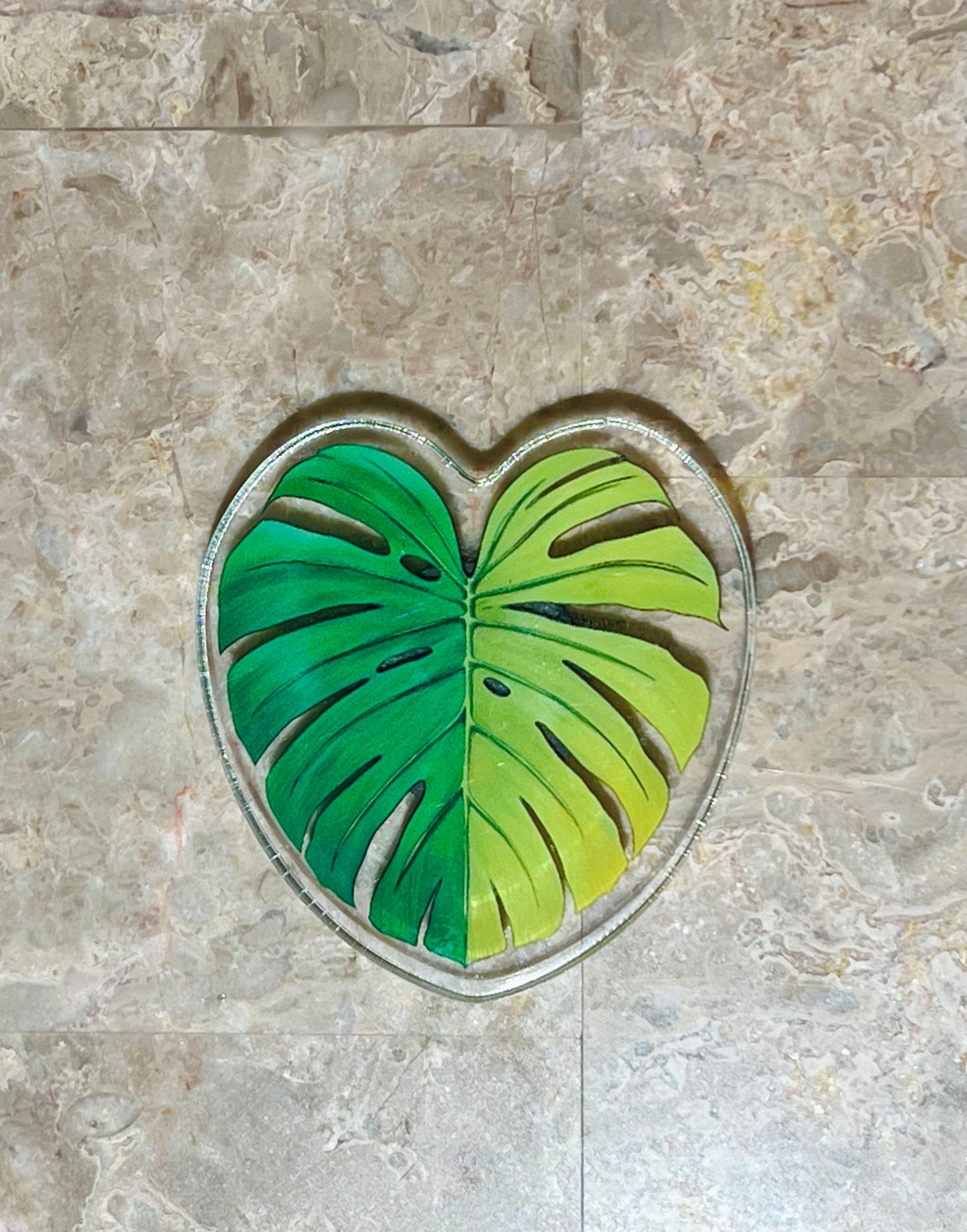 Aroid Rare Plants Refrigerator Magnets