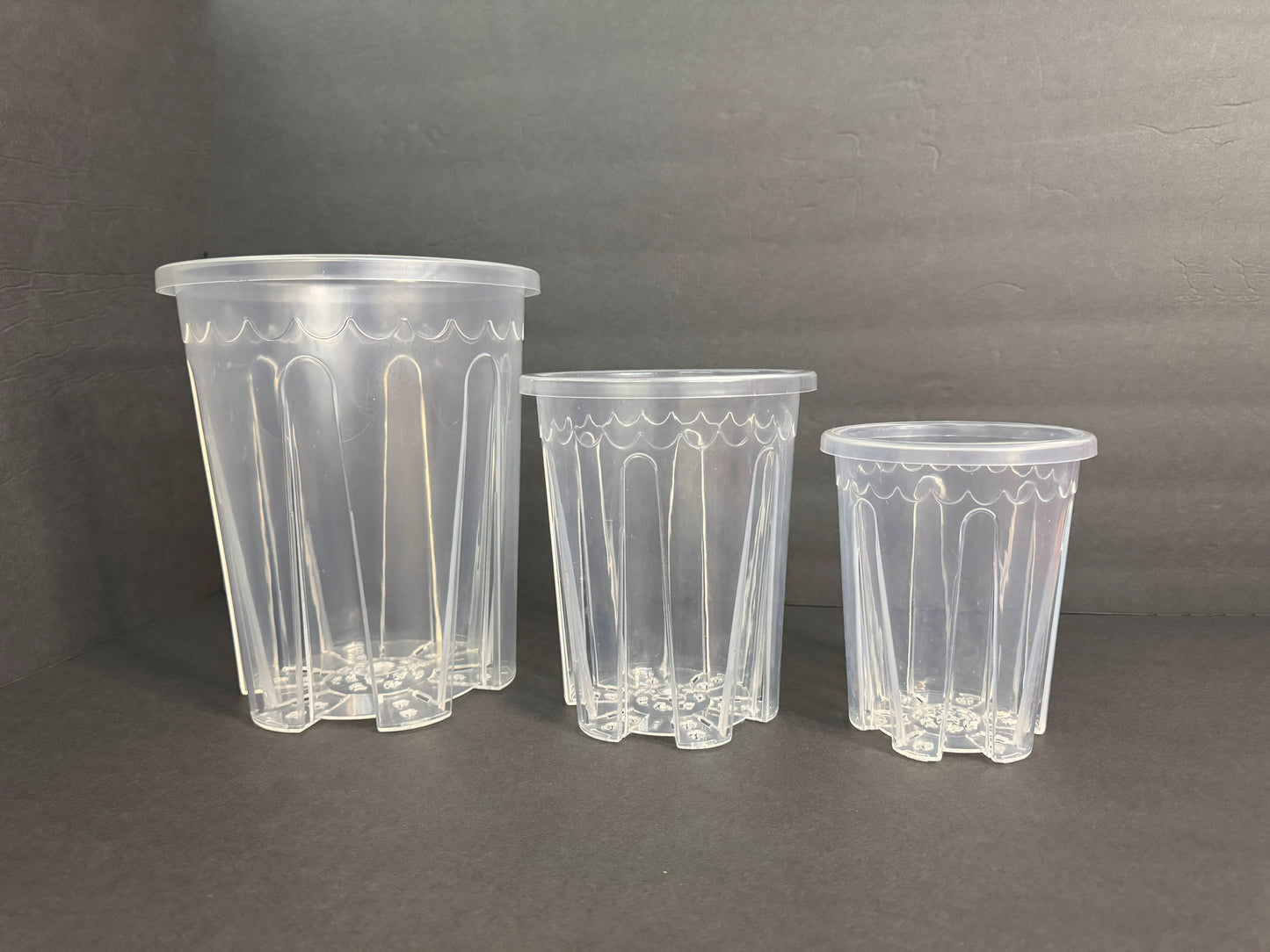 Heavy Duty Clear Tall Plant Pot – 4" to 10" | Excellent Drainage | Transparent Nursery Container for Orchids, Aroids & Houseplants