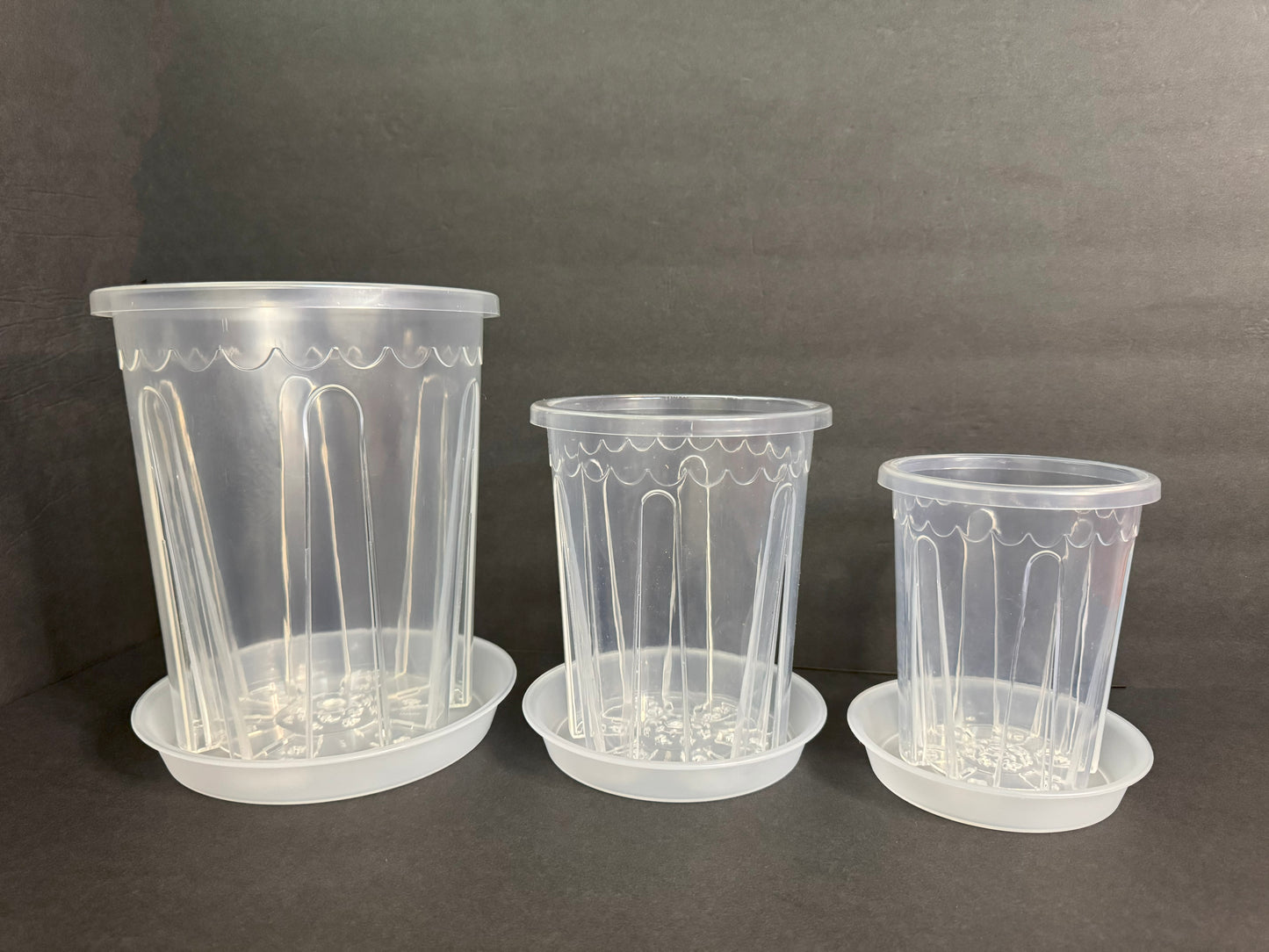 Heavy Duty Clear Tall Plant Pot – 4" to 10" | Excellent Drainage | Transparent Nursery Container for Orchids, Aroids & Houseplants
