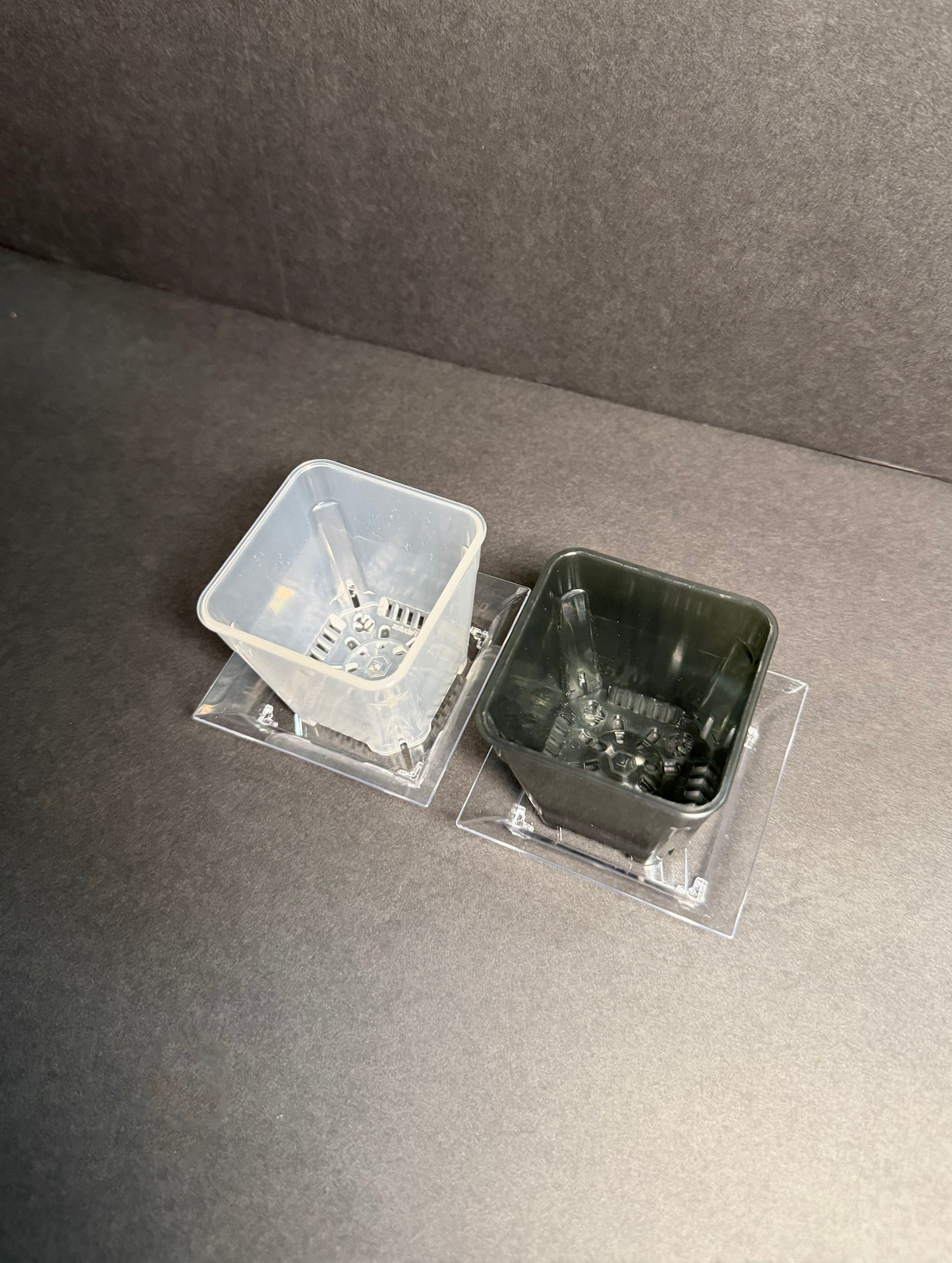 Mini Translucent 2 inch Square Nursery and Seedling Pot Container Study Clear Pot 2 inch square clear planter | Small 2 inch Planter Pot