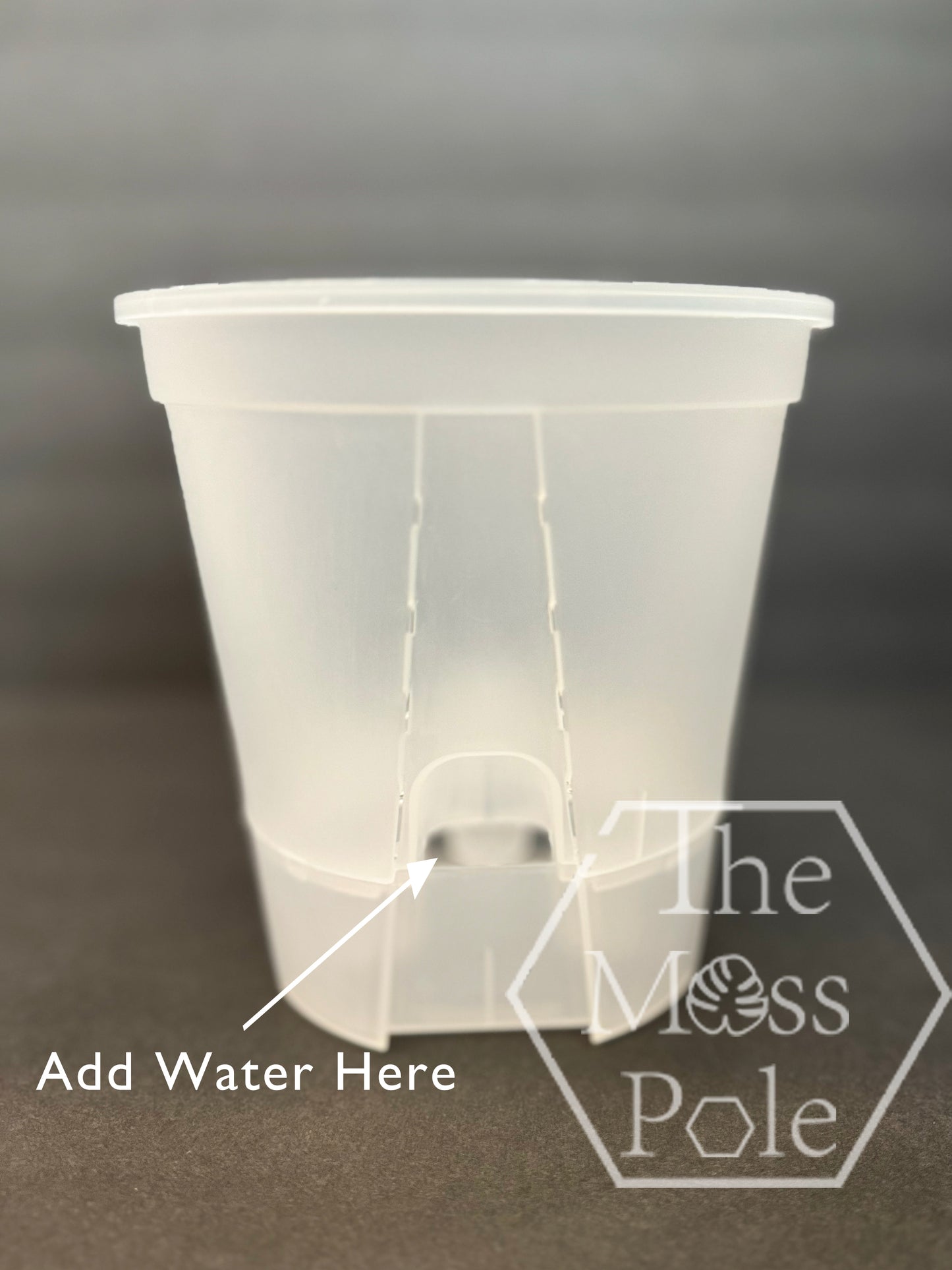Clear Self-Watering Pot – 4" 5" 6" 7" 8" Sizes | Transparent Plastic Planter for Indoor Plants | Optional Wick + O-Ring
