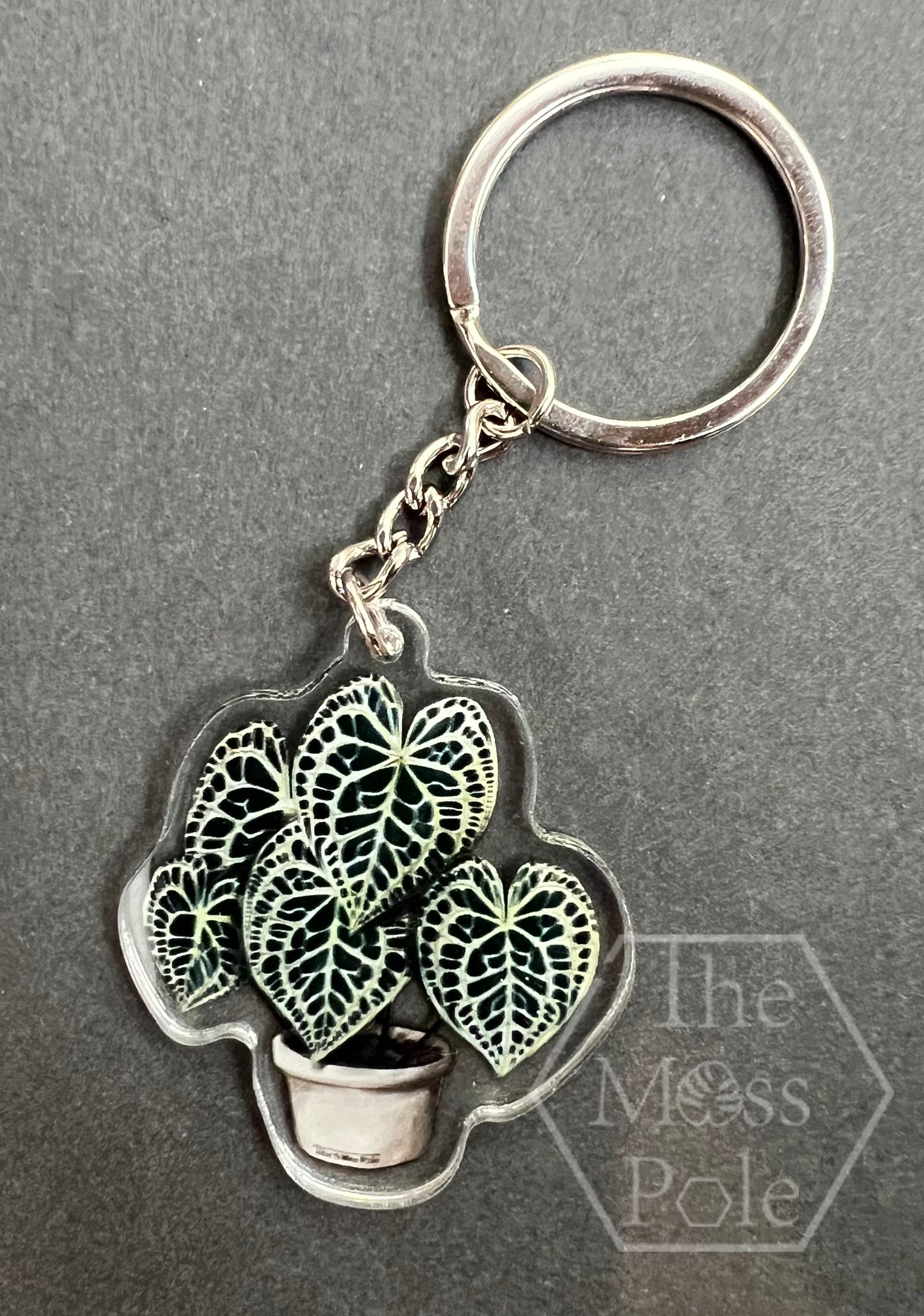 Monstera Keychain, Alocasia Keychain, Anthurium Keychain and Philodendron Keychain