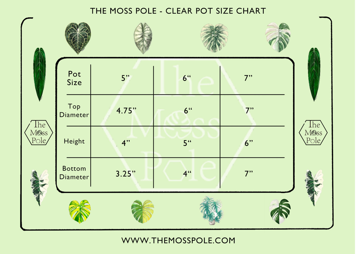 High quality black clear pot with good drainage! 5 inch clear pot 6 inch 7 inch clear pot