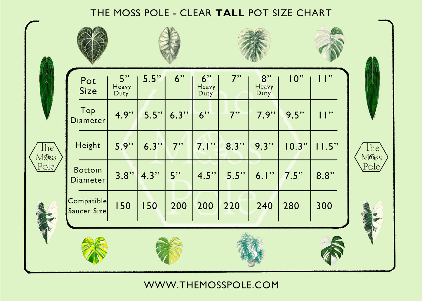 High-Quality Tall Clear Pot with Excellent Drainage β Multi Sizes Available (4" to 11")