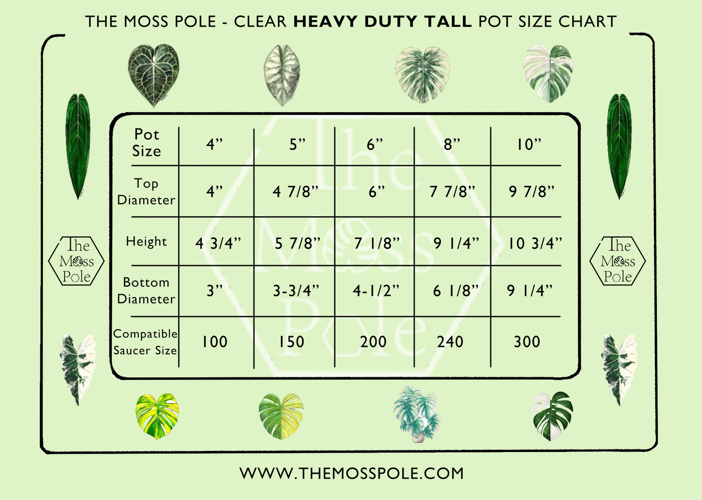 Heavy Duty Clear Tall Plant Pot – 4" to 10" | Excellent Drainage | Transparent Nursery Container for Orchids, Aroids & Houseplants