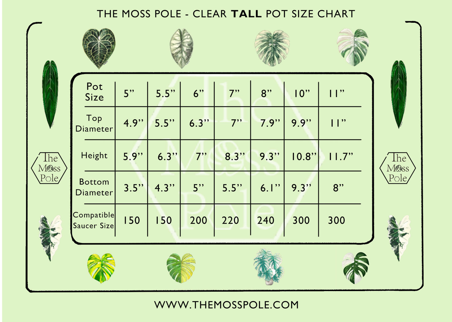 High-Quality Tall Clear Pot with Excellent Drainage β Multi Sizes Available (4" to 11")