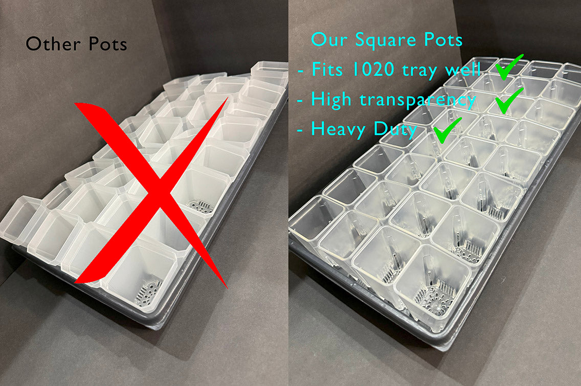 2.55 inch Square Clear Pot | Clear Square Small Pot | Clear Pot