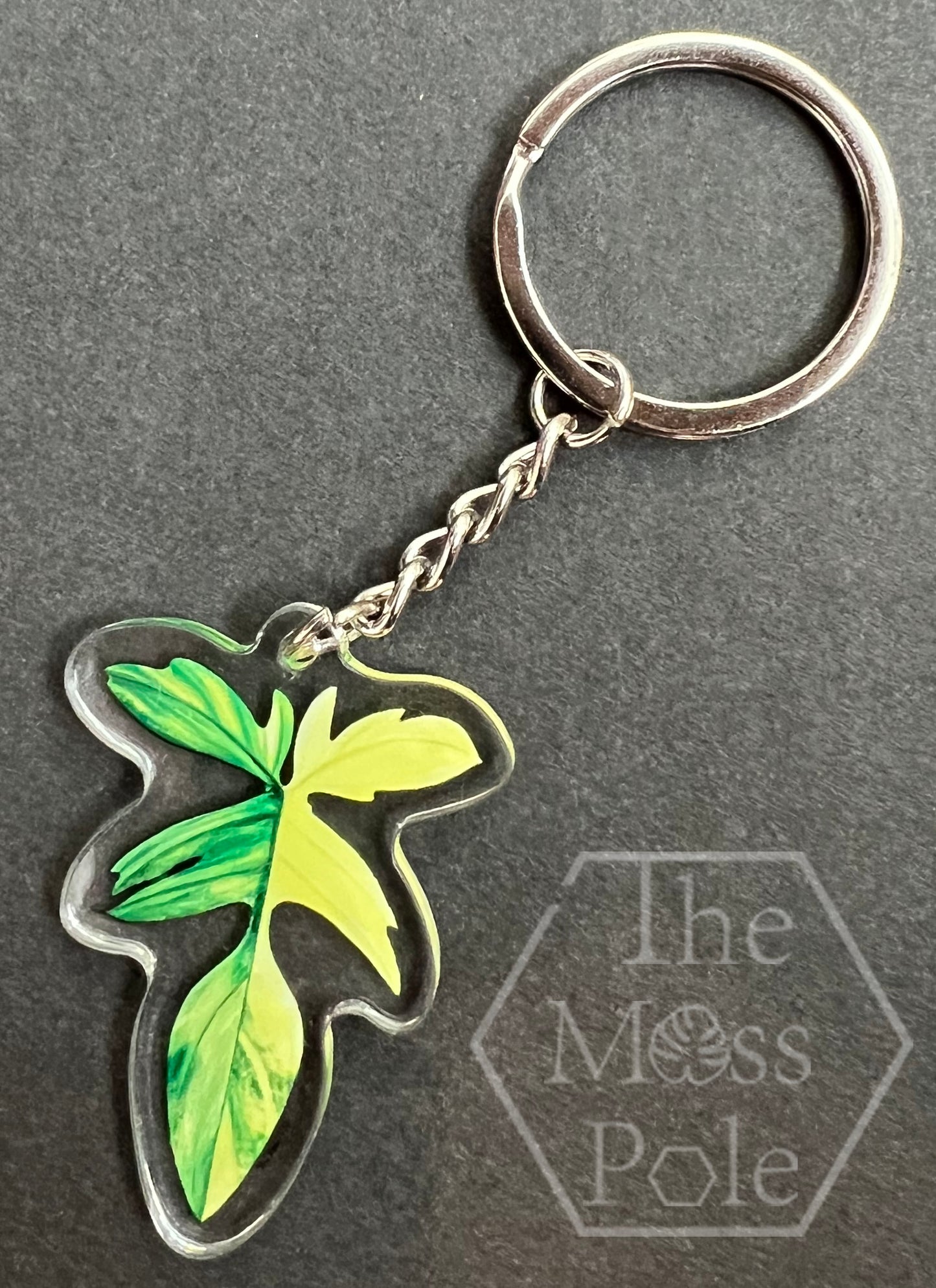 Monstera Keychain, Alocasia Keychain, Anthurium Keychain and Philodendron Keychain