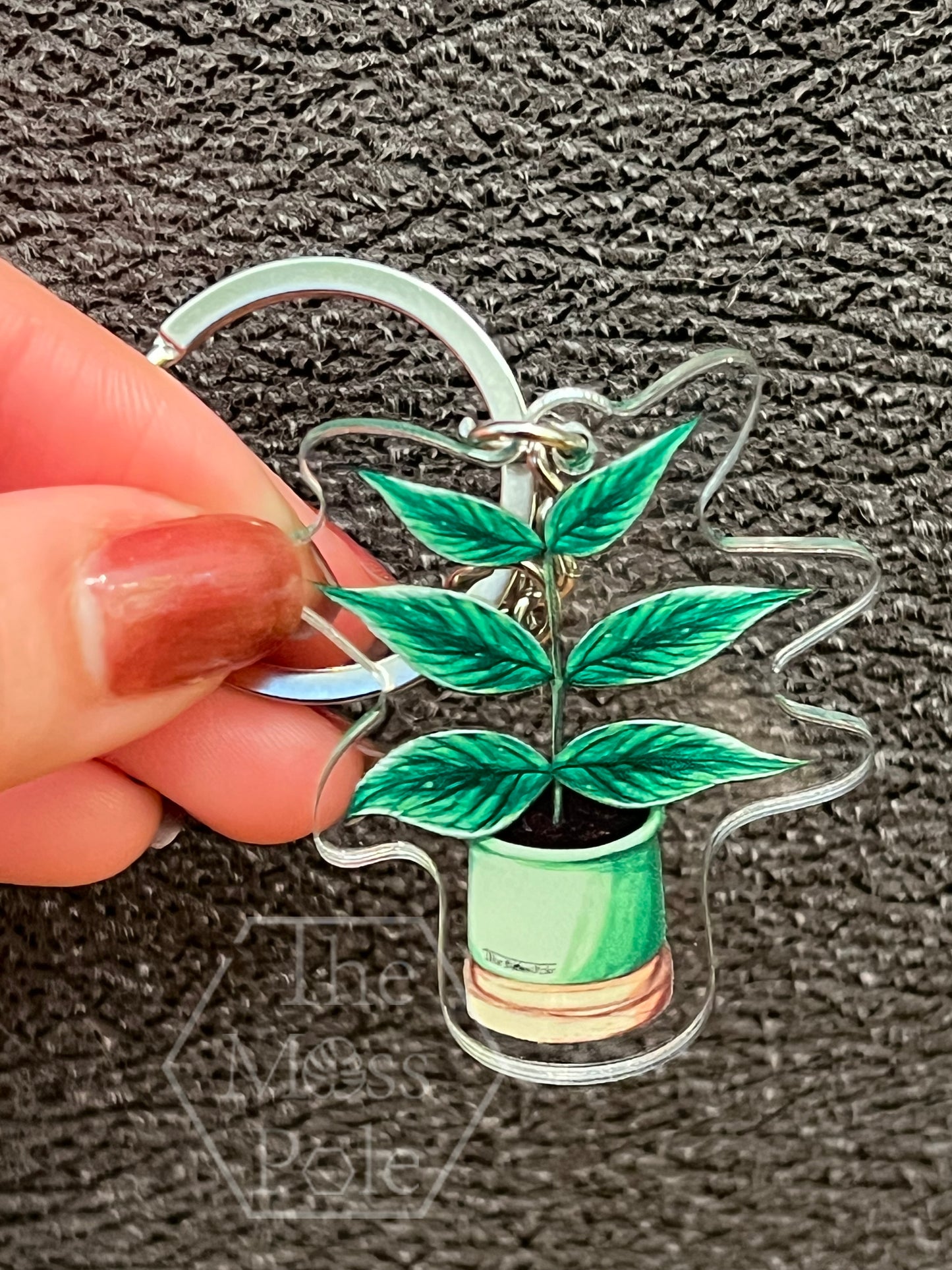 Monstera Keychain, Alocasia Keychain, Anthurium Keychain and Philodendron Keychain