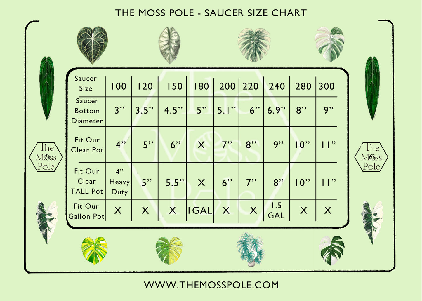 Clear Saucer | Thick | Heavy Duty