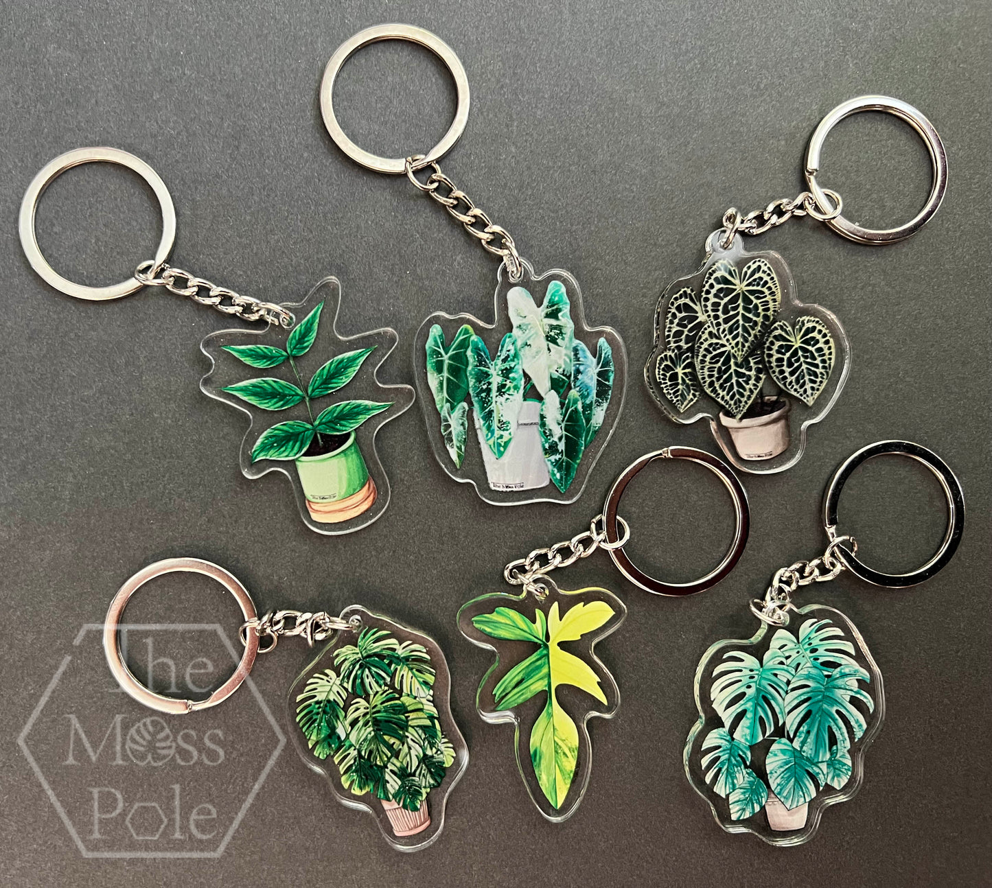 Monstera Keychain, Alocasia Keychain, Anthurium Keychain and Philodendron Keychain