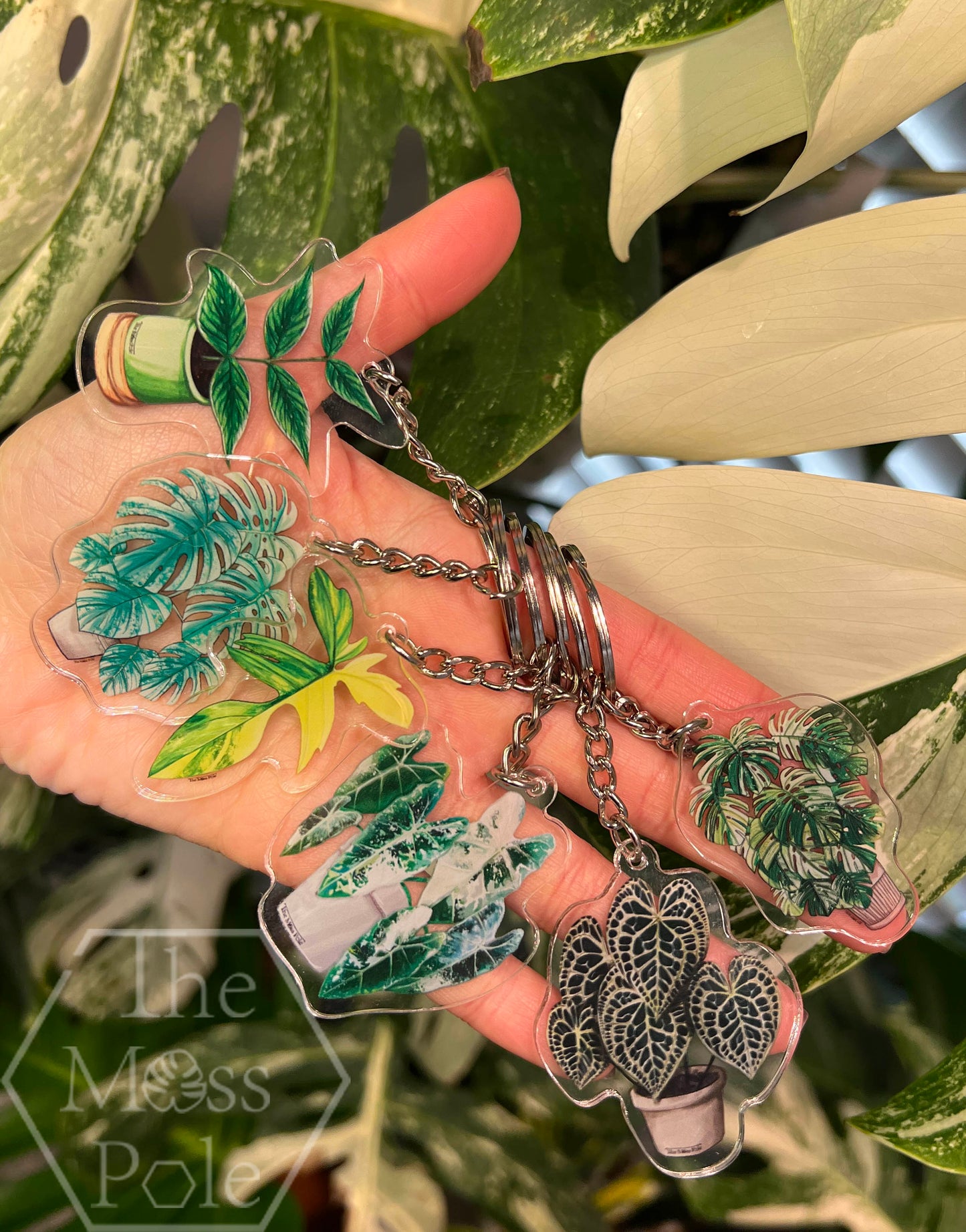 Monstera Keychain, Alocasia Keychain, Anthurium Keychain and Philodendron Keychain