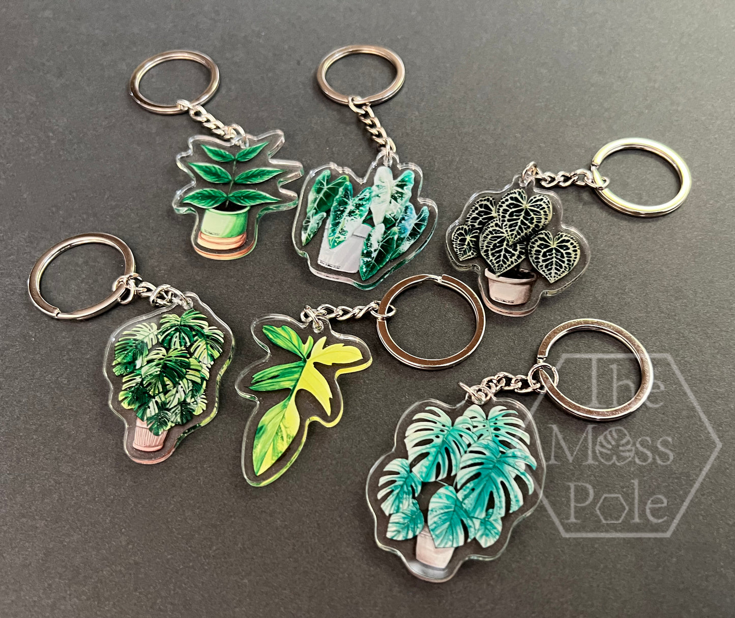 Monstera Keychain, Alocasia Keychain, Anthurium Keychain and Philodendron Keychain