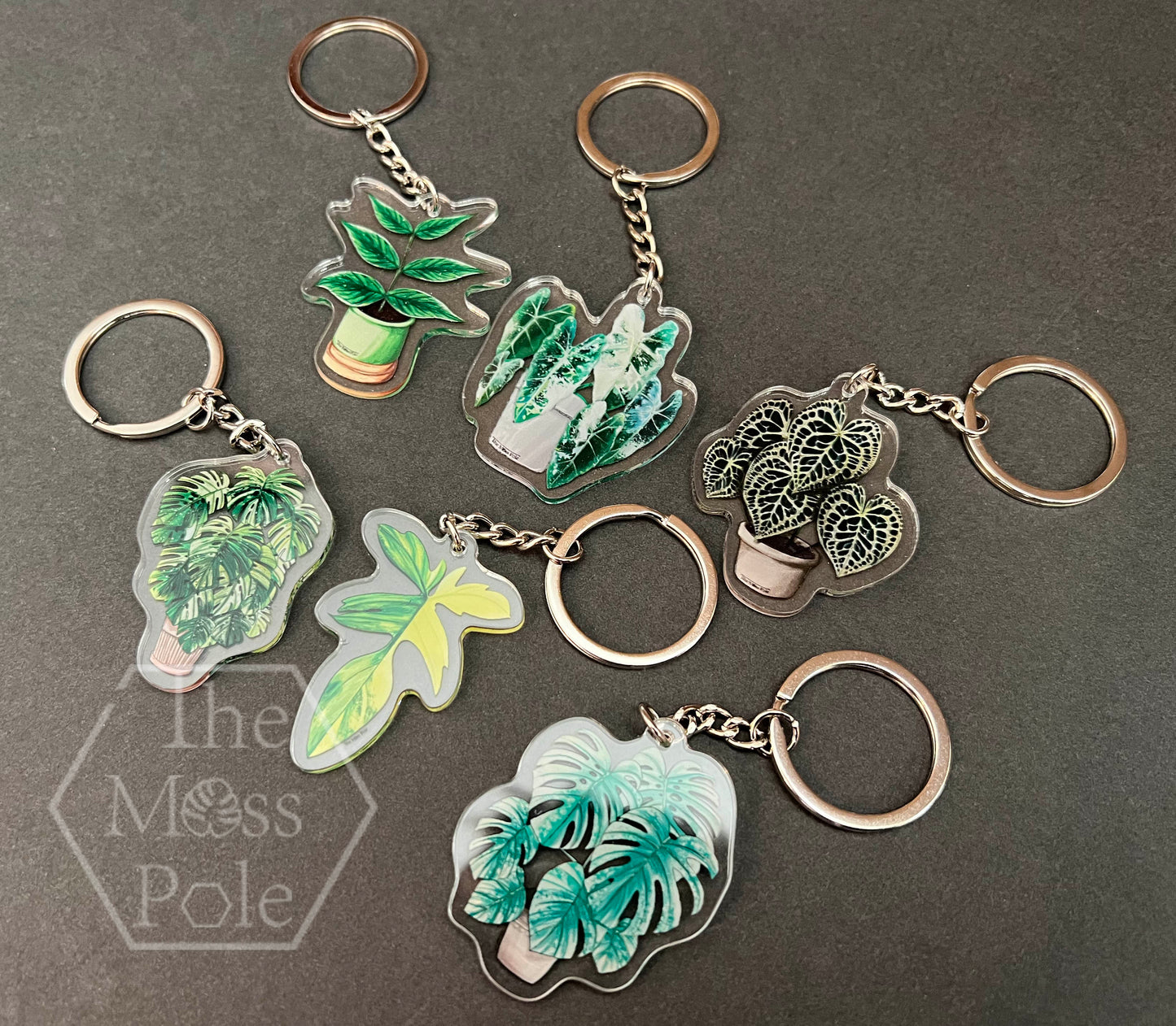Monstera Keychain, Alocasia Keychain, Anthurium Keychain and Philodendron Keychain