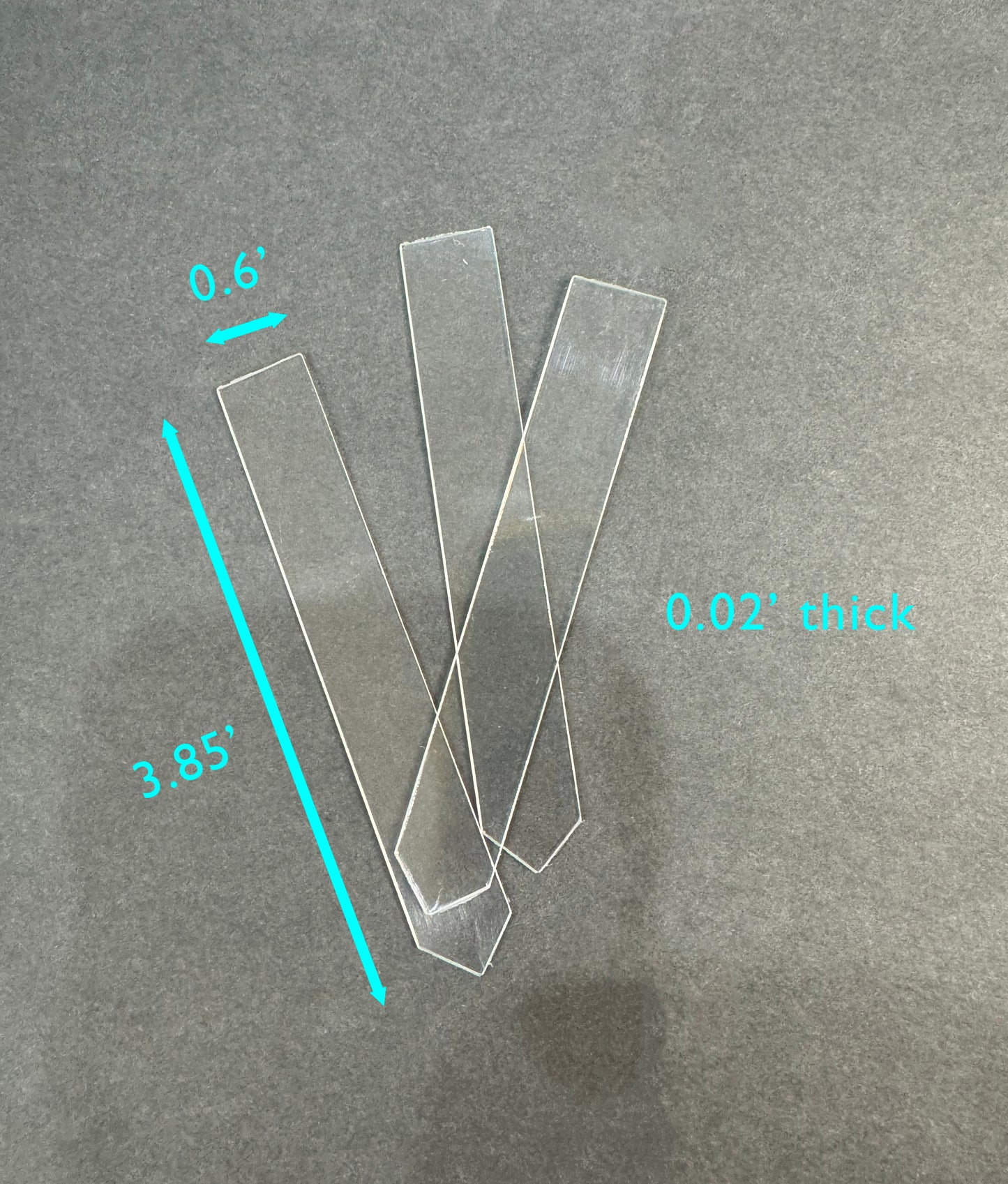 Clear Plant Label | Transparent Plant Label | Plant Name Tag