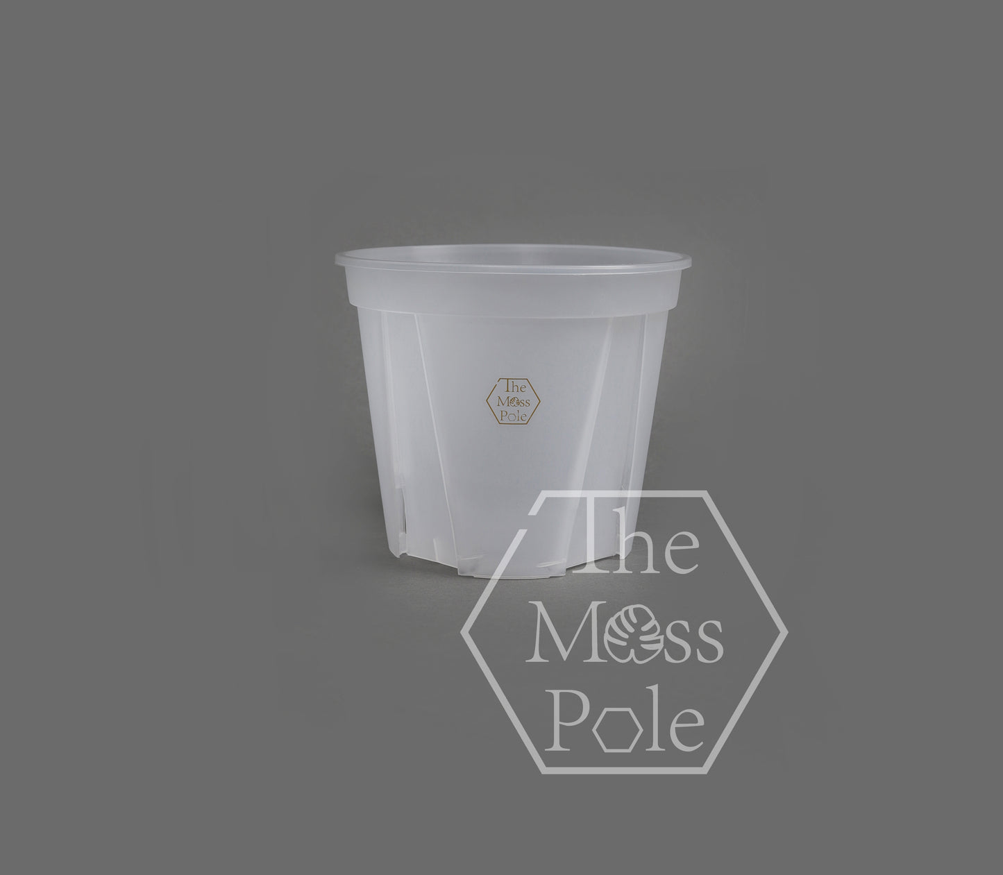High quality Clear pot with good drainage! Multi-size Available!