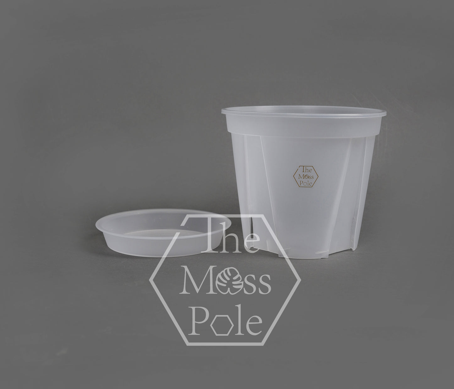 High quality Clear pot with good drainage! Multi-size Available!