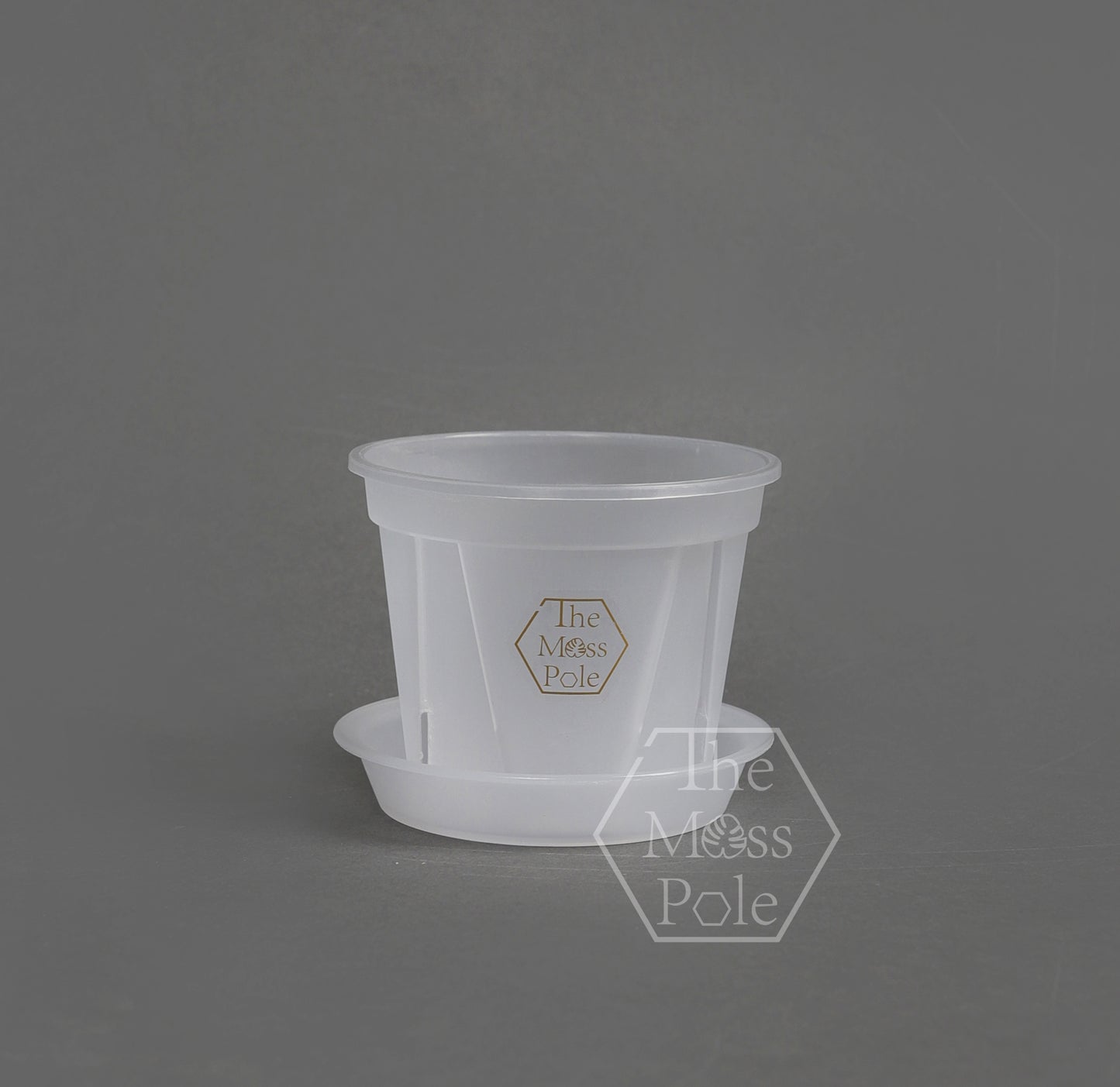 High quality Clear pot with good drainage! Multi-size Available!