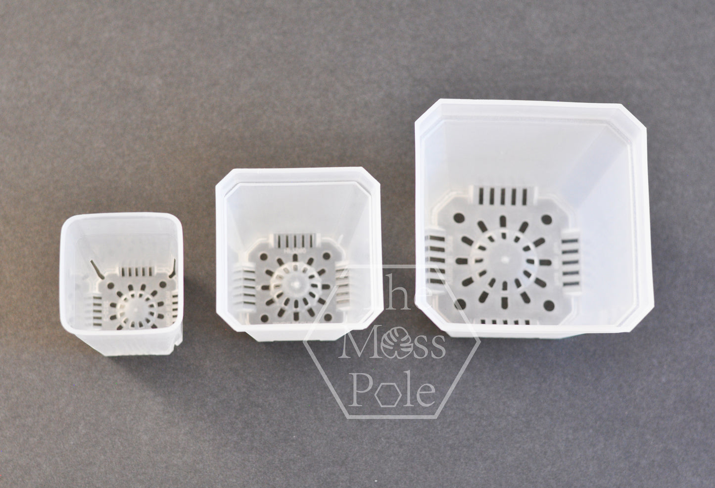 Square Clear Plant Pot