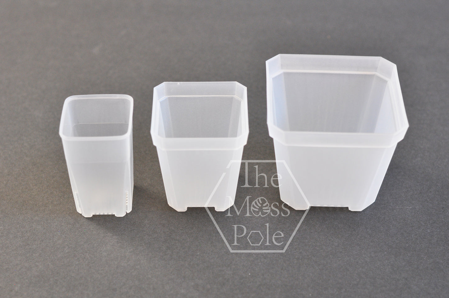 Square Clear Plant Pot