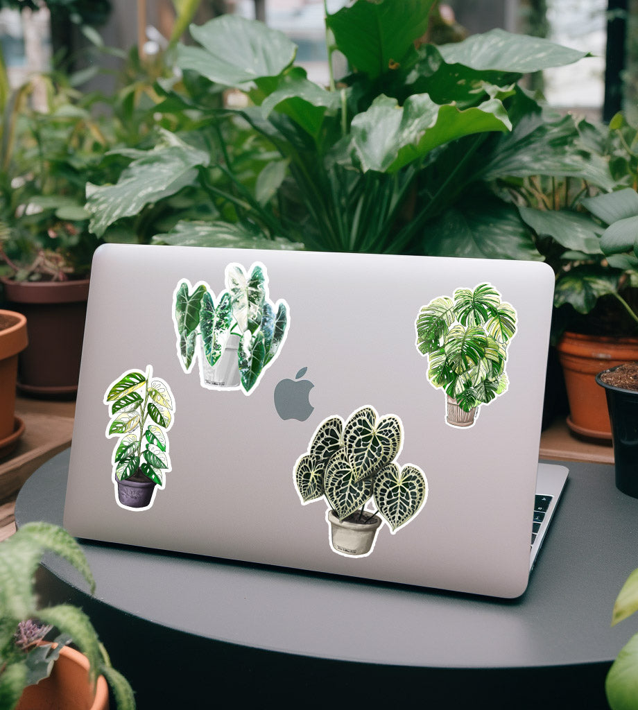 Plant Stickers - Monstera Stickers - Anthurium Stickers - Water Resistant Durable Vinyl Glossy Plant Stickers - Plant Lover Gift