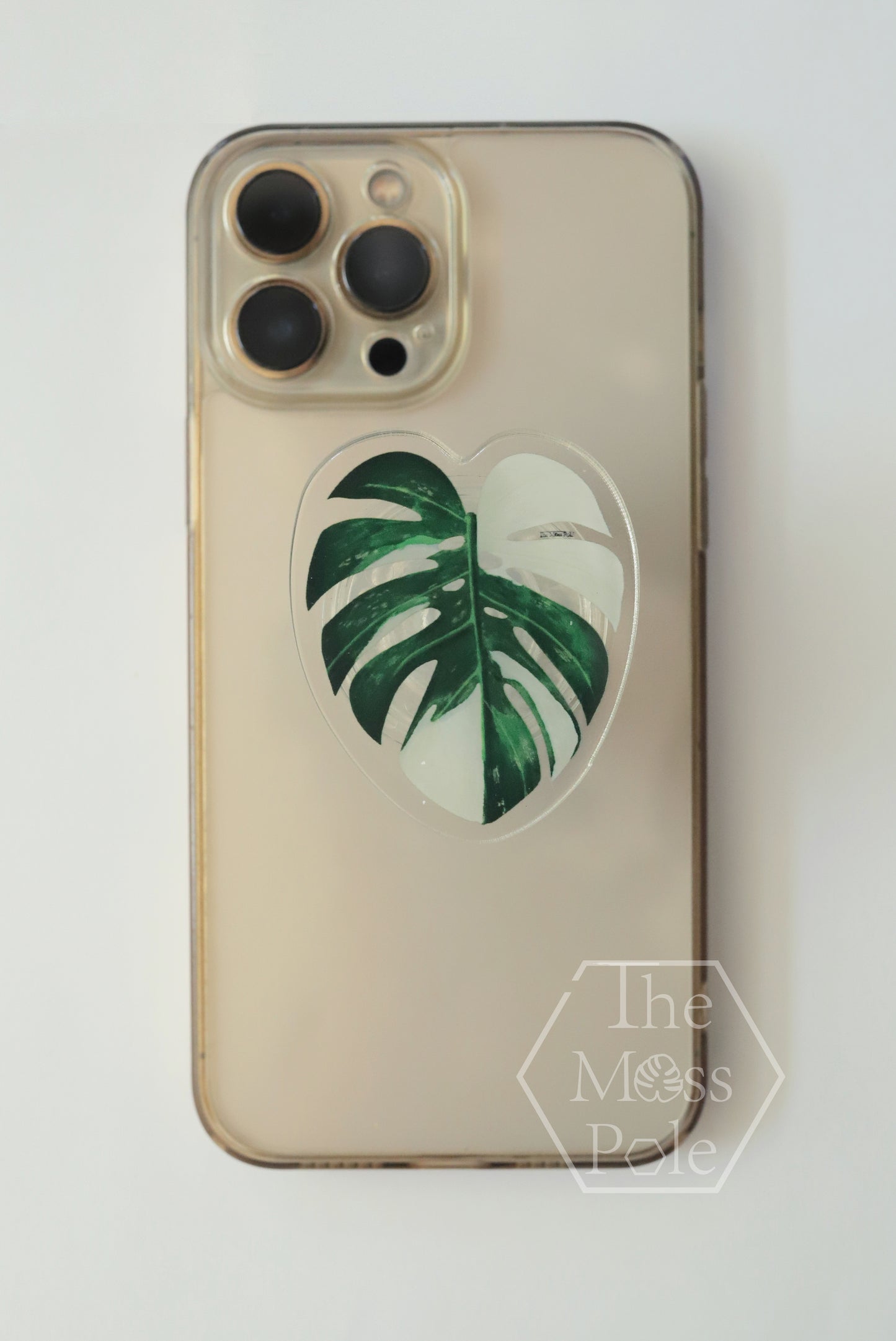Aroid Rare Plants Phone Grip Holder