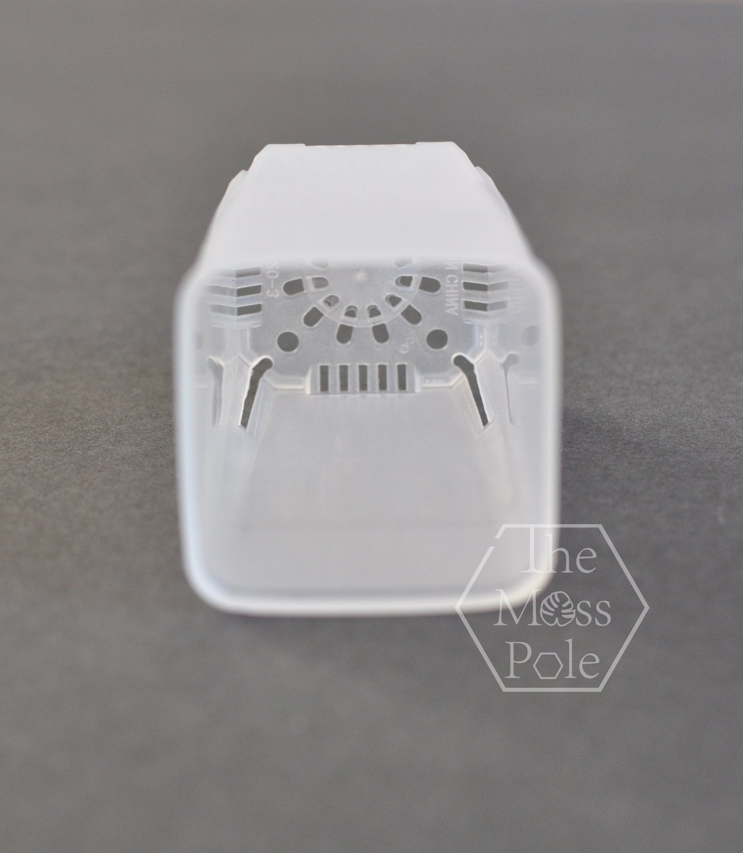 Square Clear Plant Pot