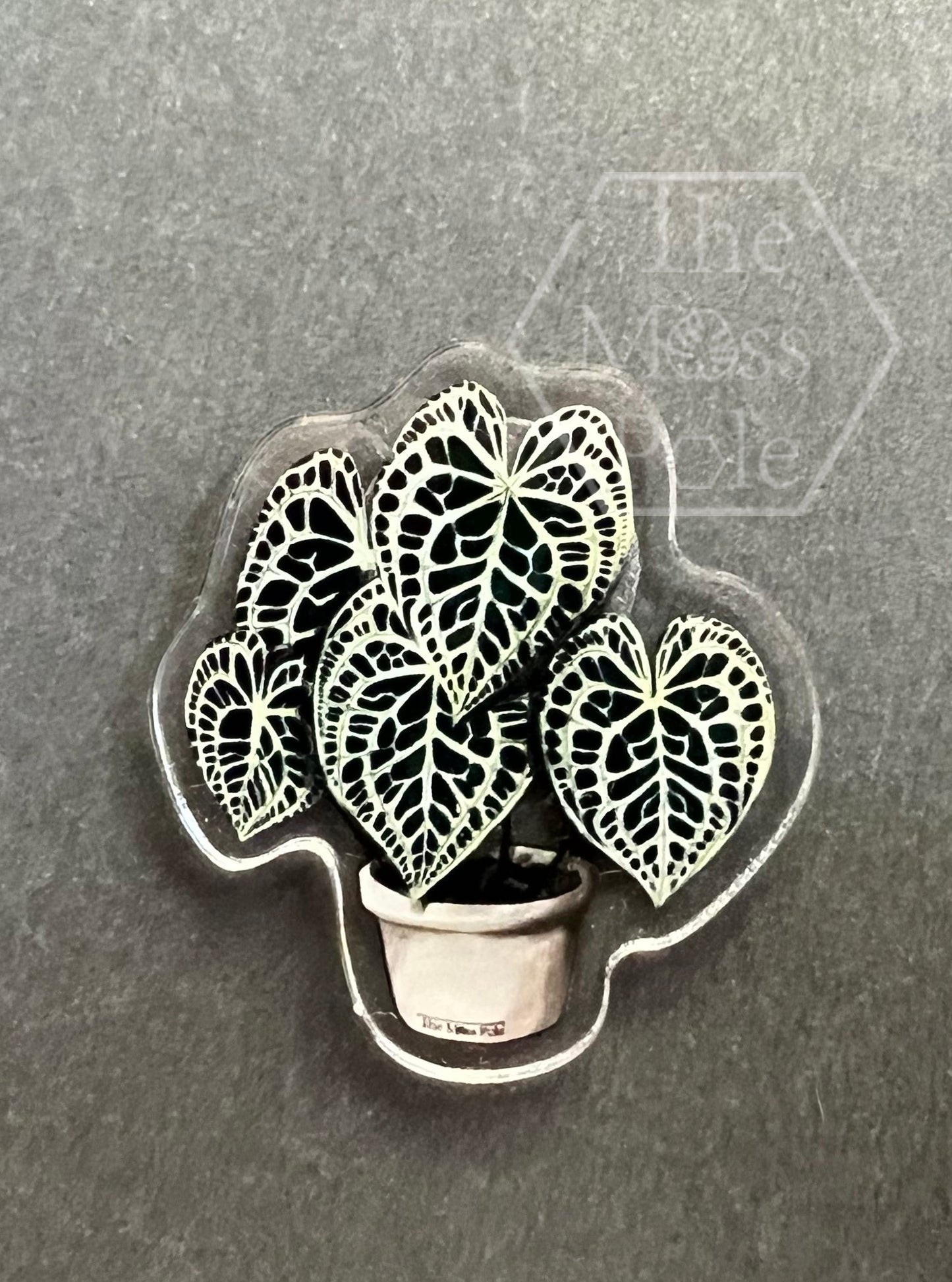 Assorted Tropical Rare Plant Magnet | Plant Lover Gift | Plant Kitchen Decor | Office Plant Decor Plants Refrigerator Magnets