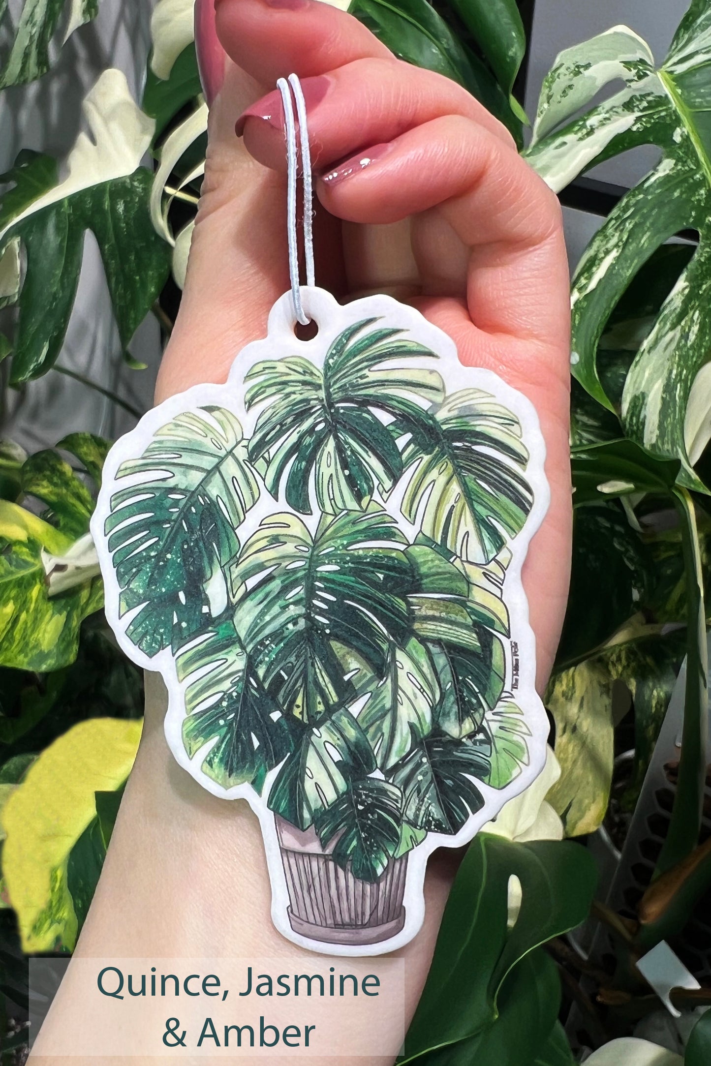 Hanging Air Refresher - Plant Design Air Refresher for Home and Car