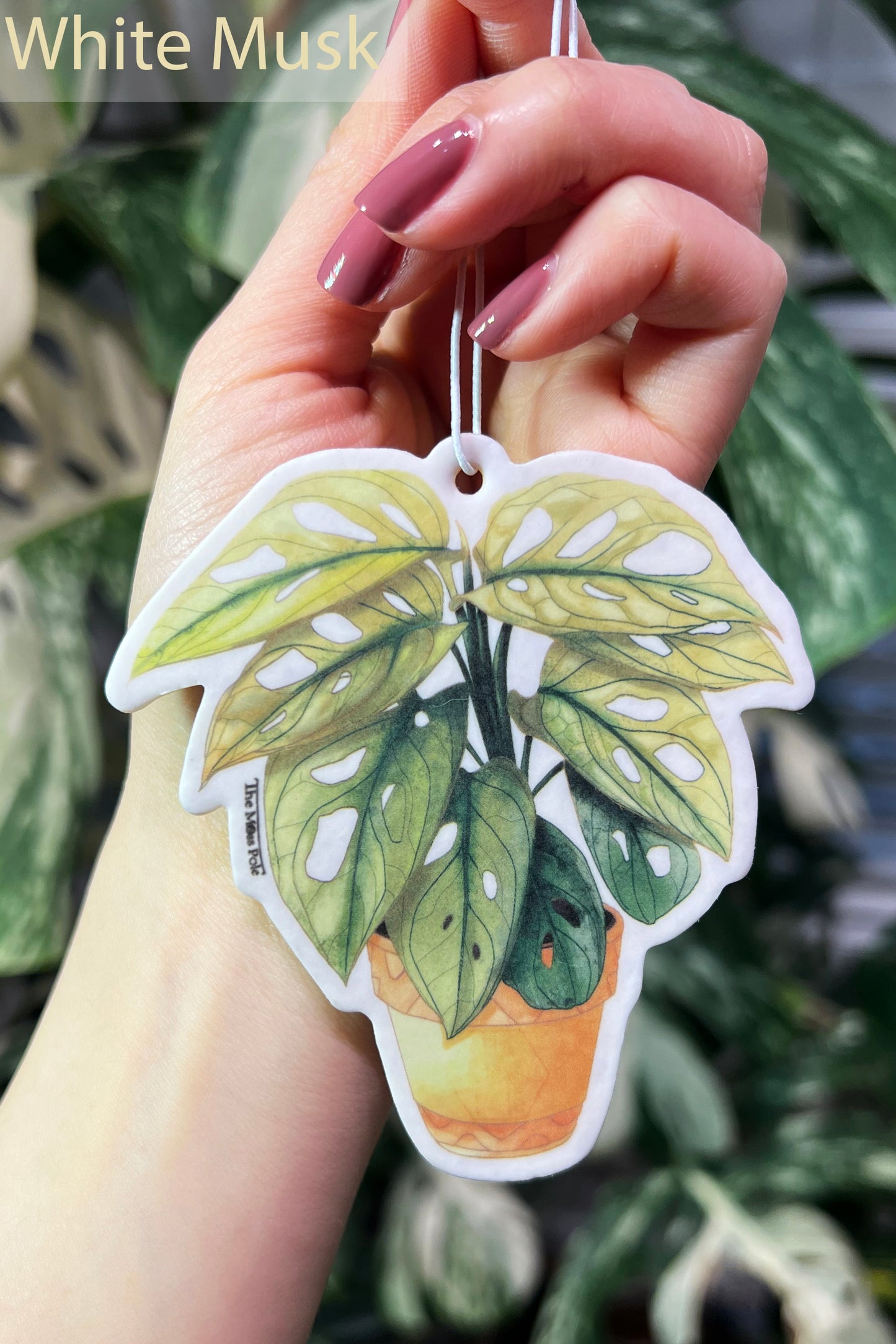 Hanging Air Refresher - Plant Design Air Refresher for Home and Car