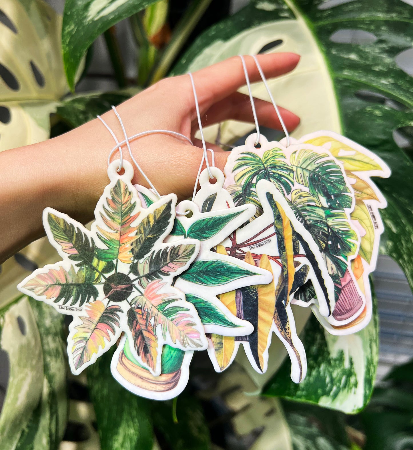 Hanging Air Refresher - Plant Design Air Refresher for Home and Car