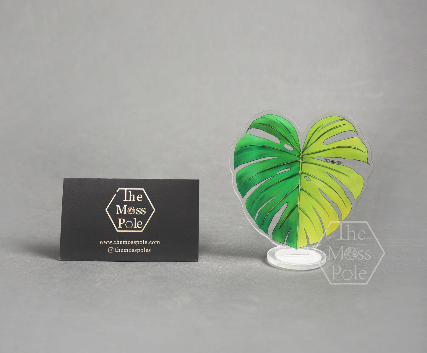 Aroid Rare Plants Ornament