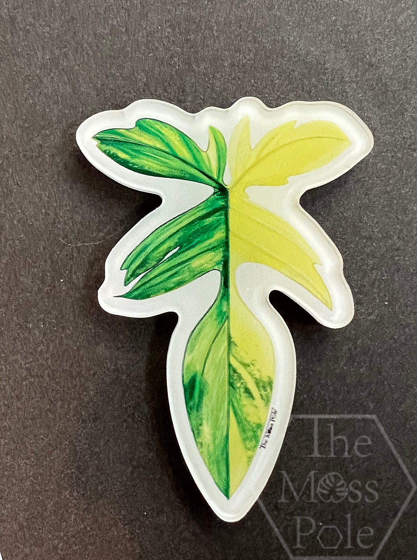 Assorted Tropical Rare Plant Magnet | Plant Lover Gift | Plant Kitchen Decor | Office Plant Decor Plants Refrigerator Magnets