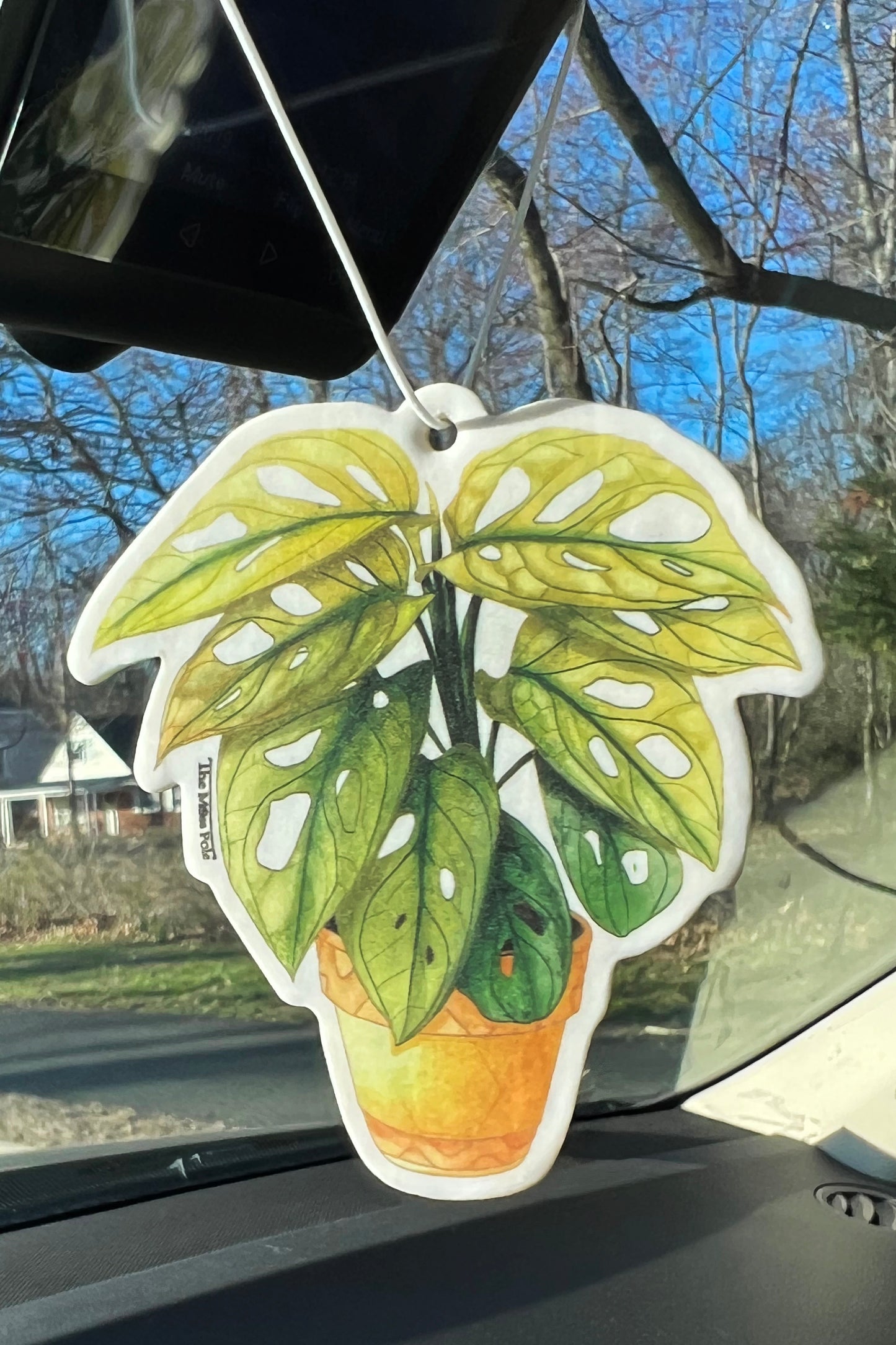 Hanging Air Refresher - Plant Design Air Refresher for Home and Car
