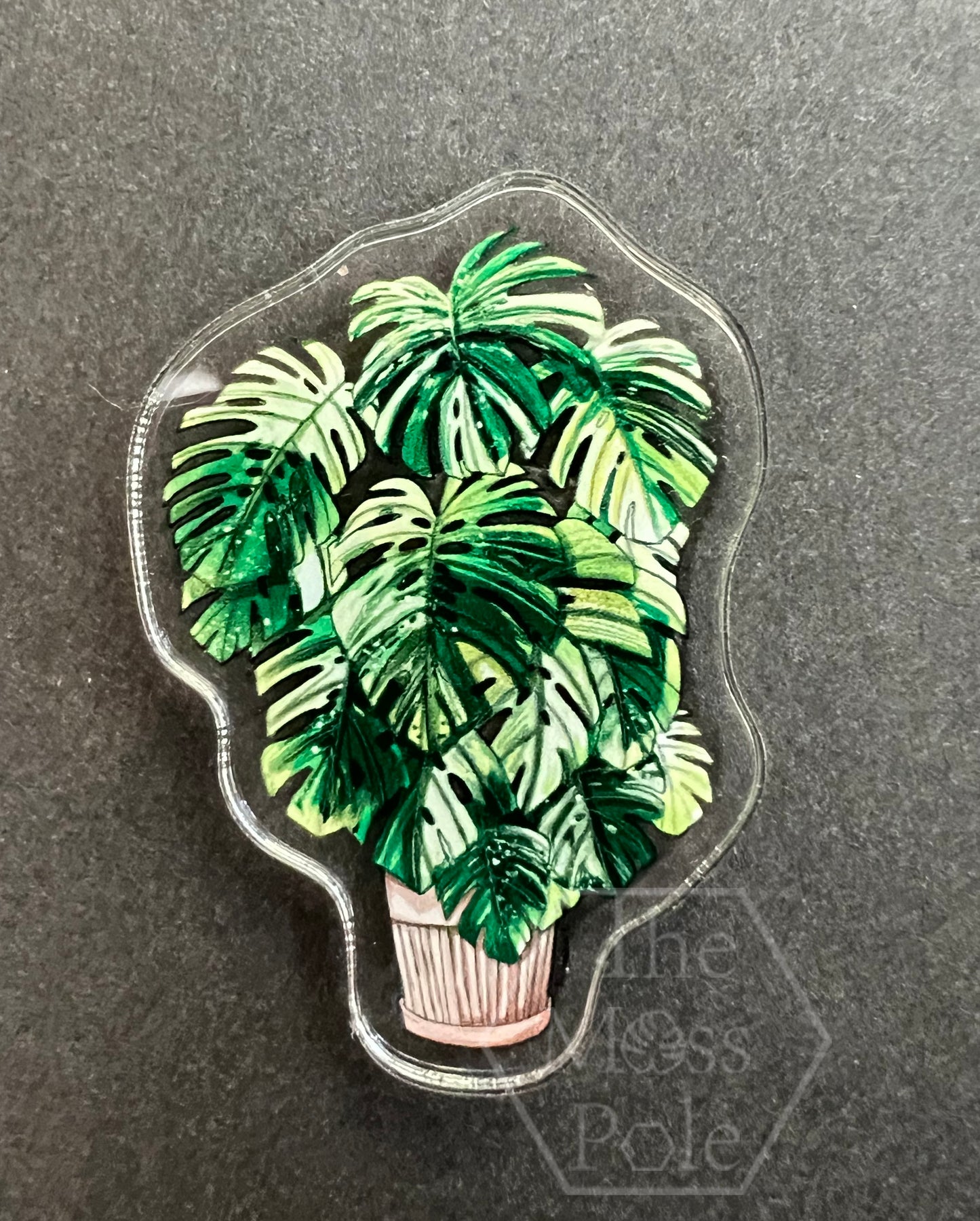 Assorted Tropical Rare Plant Magnet | Plant Lover Gift | Plant Kitchen Decor | Office Plant Decor Plants Refrigerator Magnets