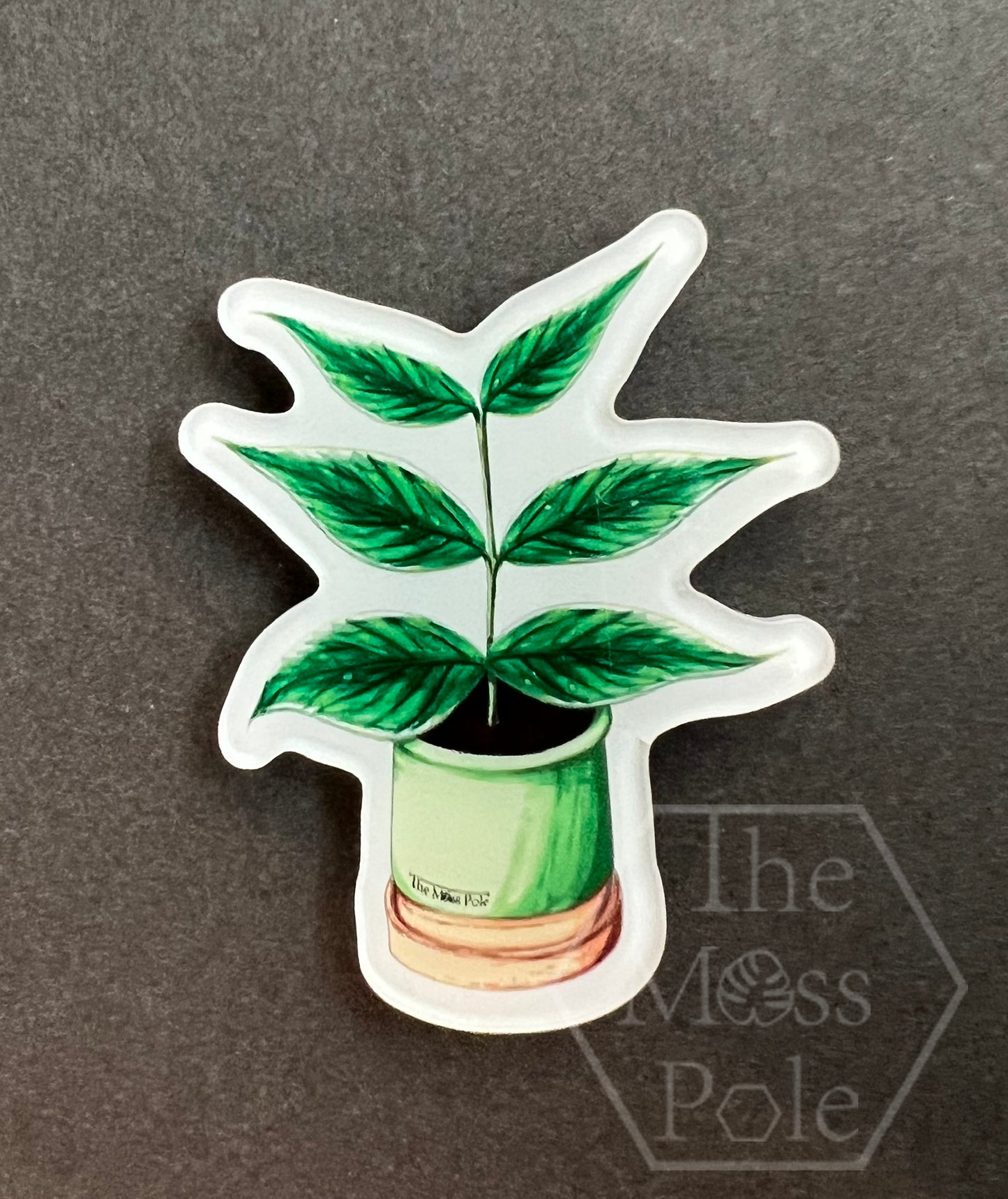 Assorted Tropical Rare Plant Magnet | Plant Lover Gift | Plant Kitchen Decor | Office Plant Decor Plants Refrigerator Magnets