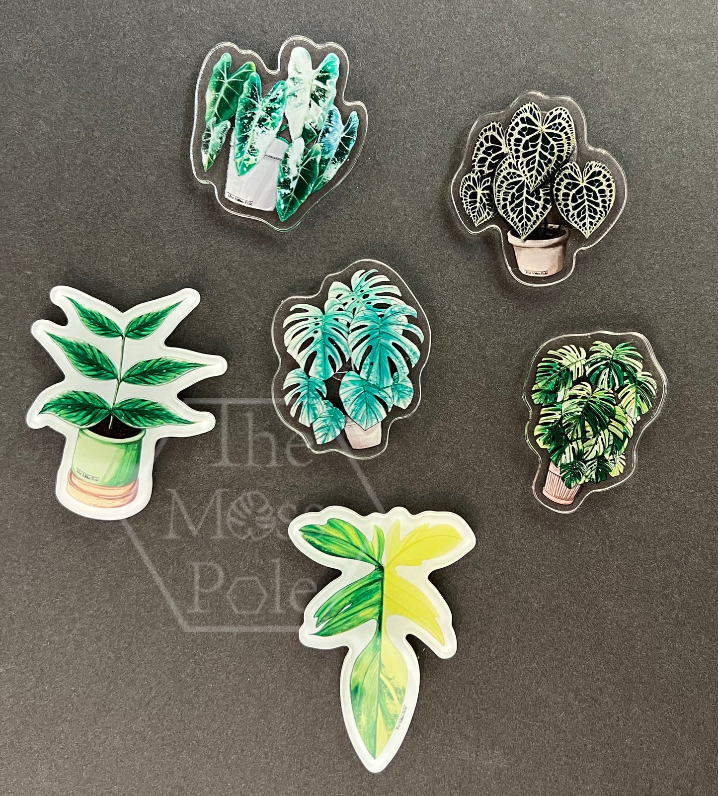 Assorted Tropical Rare Plant Magnet | Plant Lover Gift | Plant Kitchen Decor | Office Plant Decor Plants Refrigerator Magnets