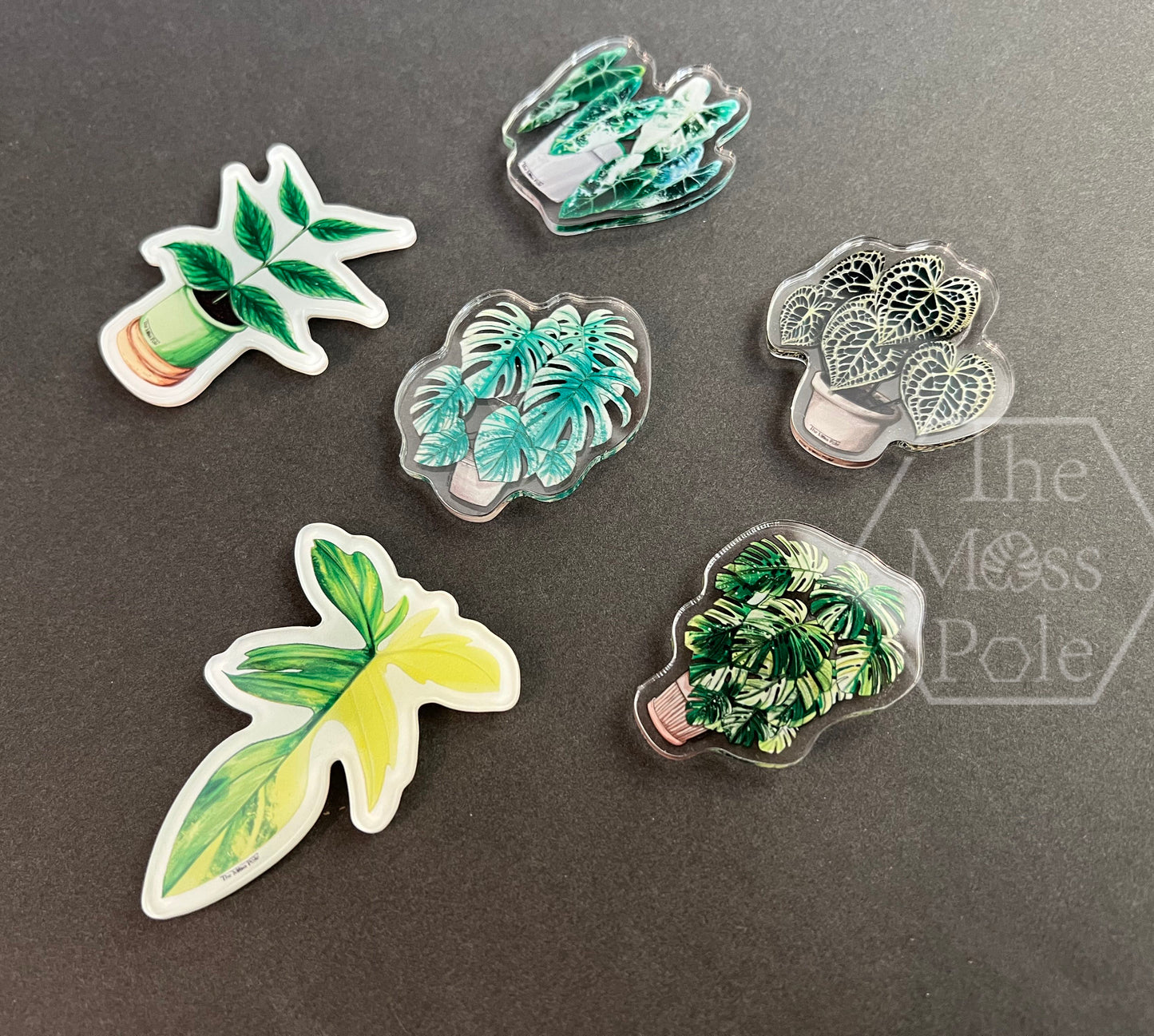Assorted Tropical Rare Plant Magnet | Plant Lover Gift | Plant Kitchen Decor | Office Plant Decor Plants Refrigerator Magnets