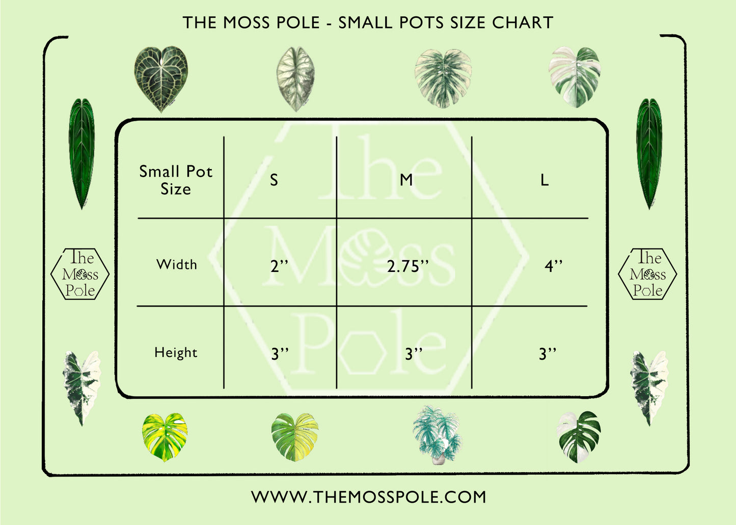 Square Clear Plant Pot