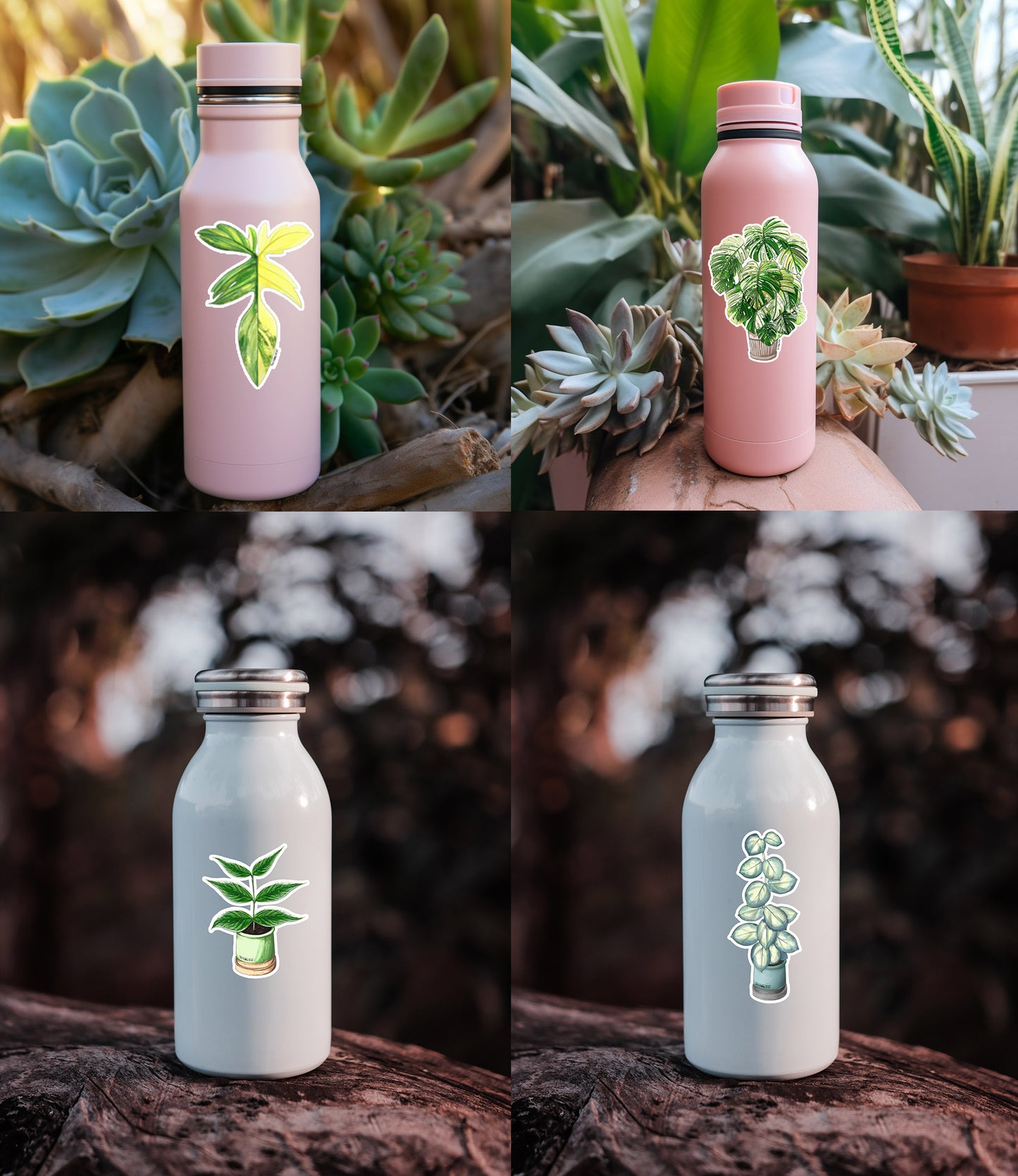 Plant Stickers - Monstera Stickers - Anthurium Stickers - Water Resistant Durable Vinyl Glossy Plant Stickers - Plant Lover Gift