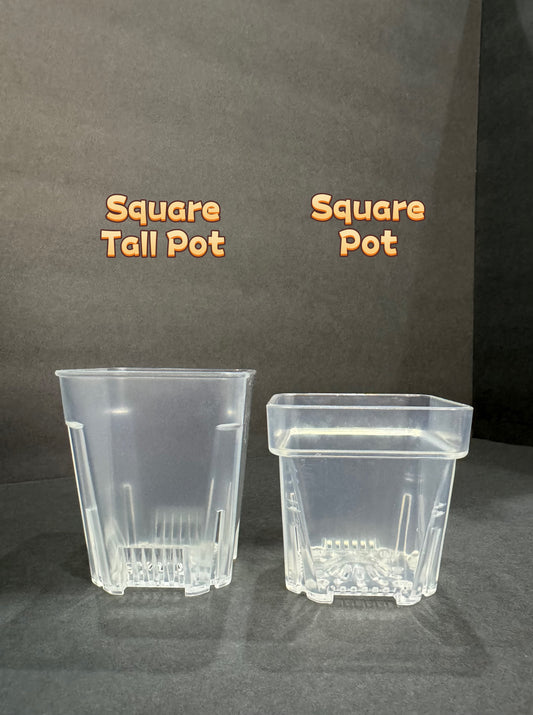 2.55 inch Square Clear Pot | Clear Square Small Pot | Clear Pot