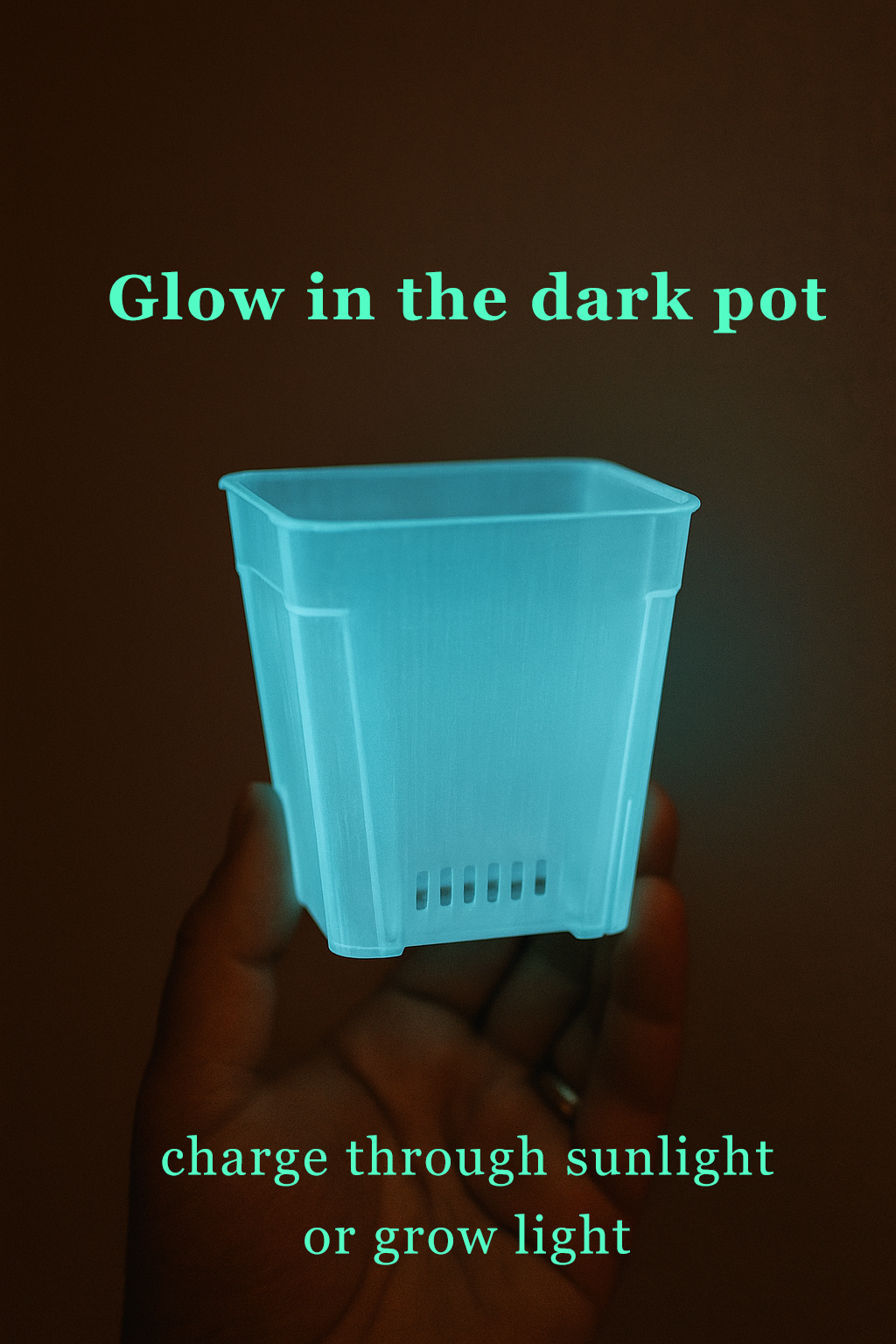 2.5” Transparent Tall Planter Pot — Clear, Black Clear & Glow-in-the-Dark