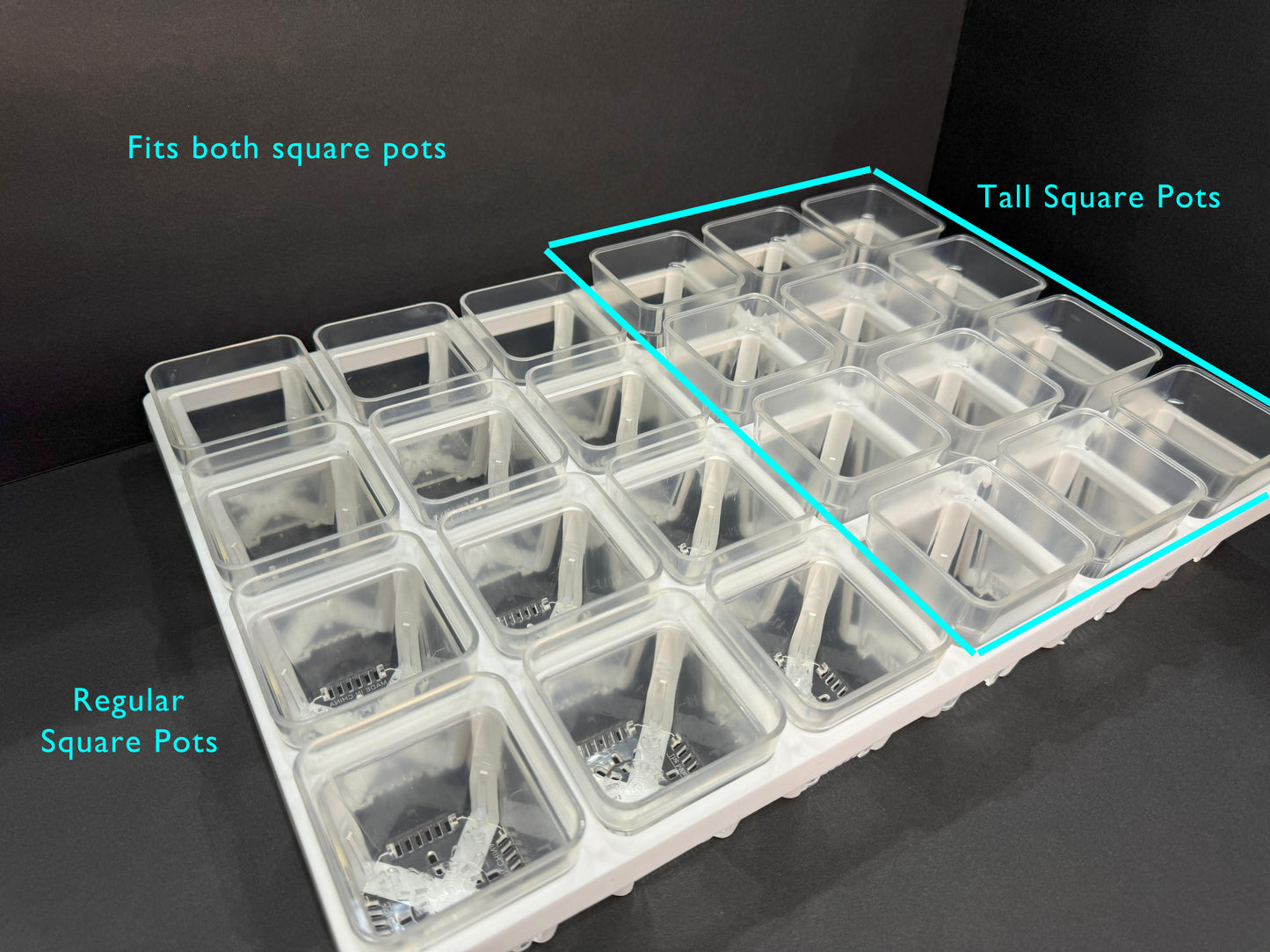 Propagation Tray with Dome Set | 24 Clear Square Seedling Pots | Pot Holder Shuttle Carry Tray and Dome Set