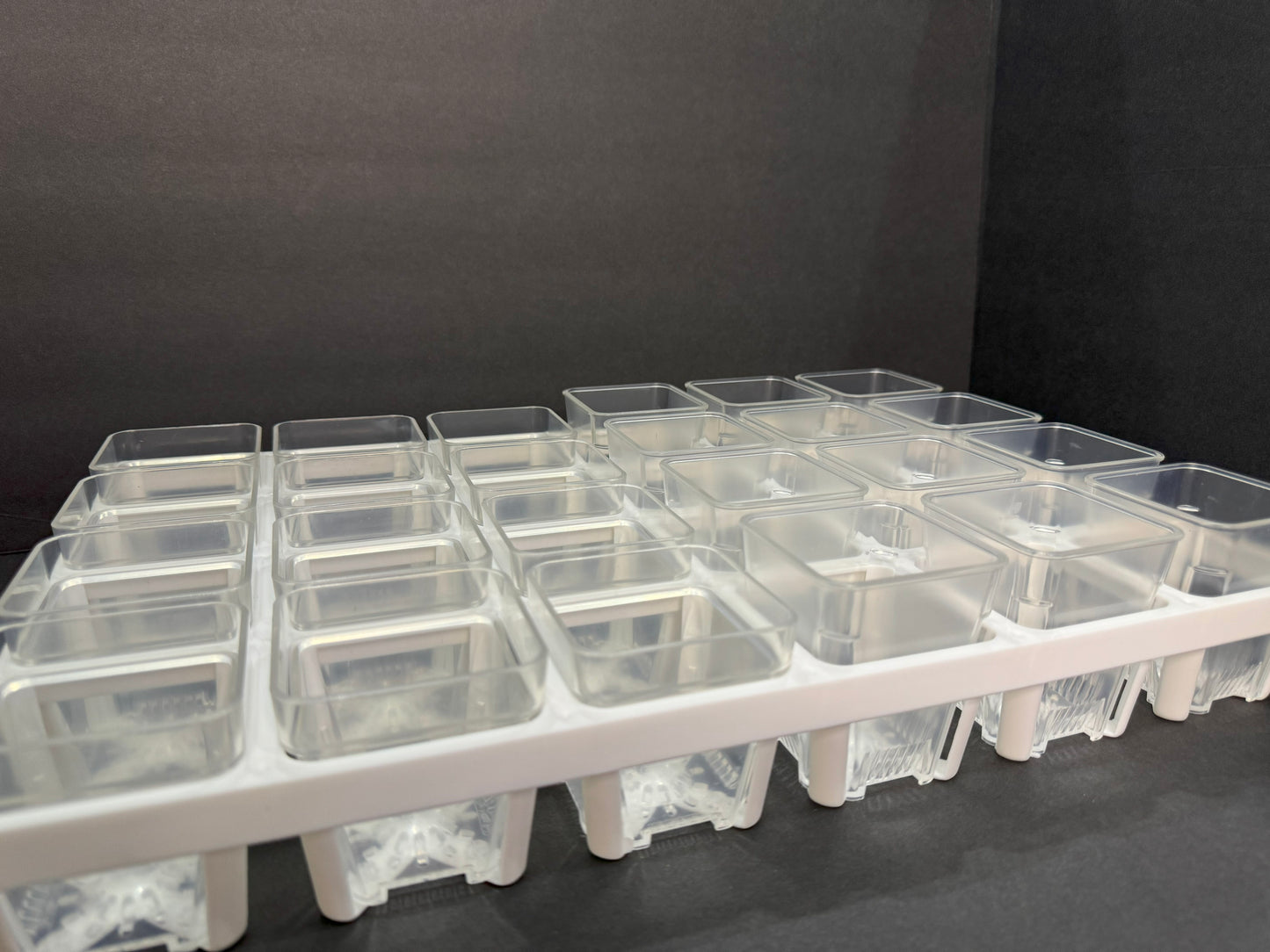 Propagation Tray with Dome Set | 24 Clear Square Seedling Pots | Pot Holder Shuttle Carry Tray and Dome Set